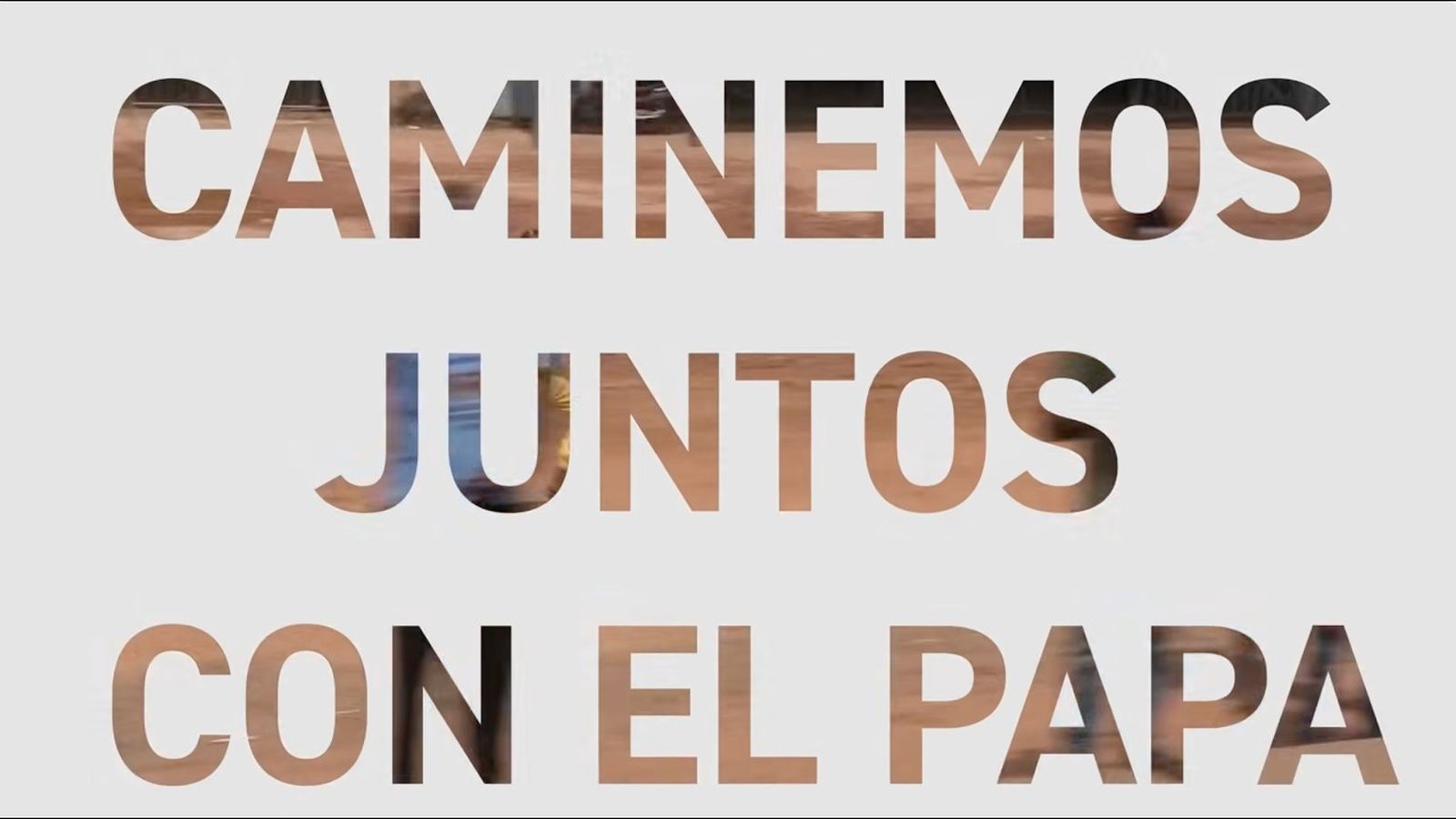 Óbolo de San Pedro: La Jornada de la caridad del Papa