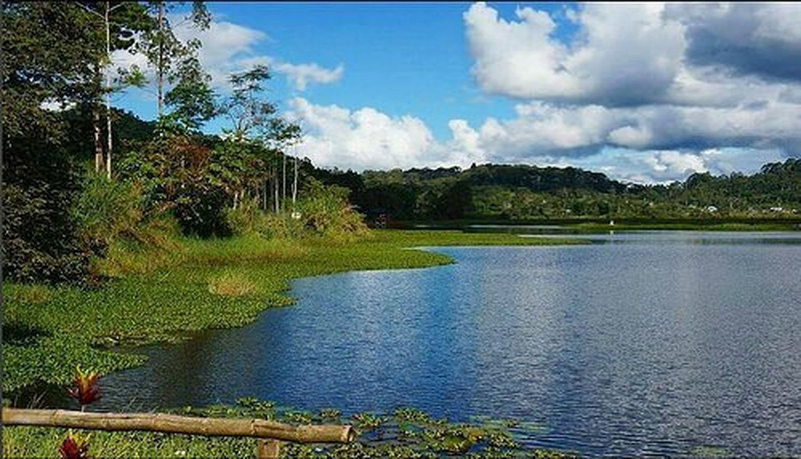 Amazonia peruana