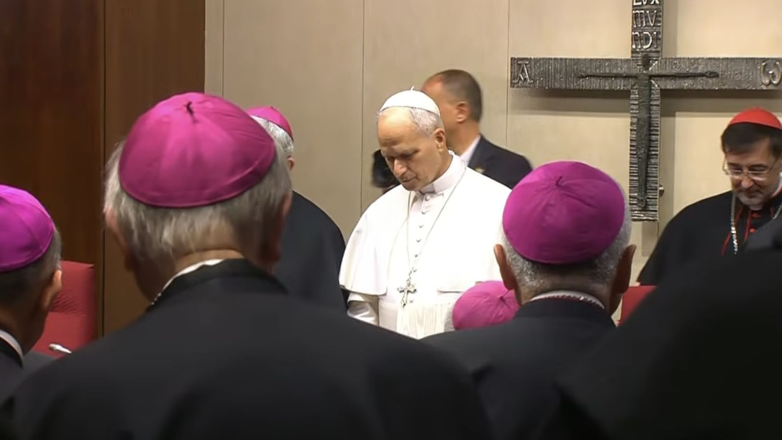 El Papa en la CEE
