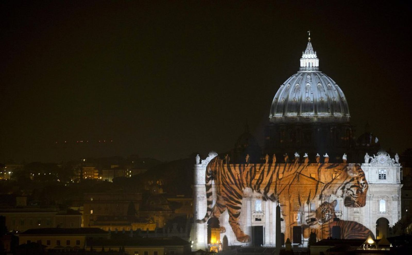 Imágenes de la fauna salvaje en el Vaticano