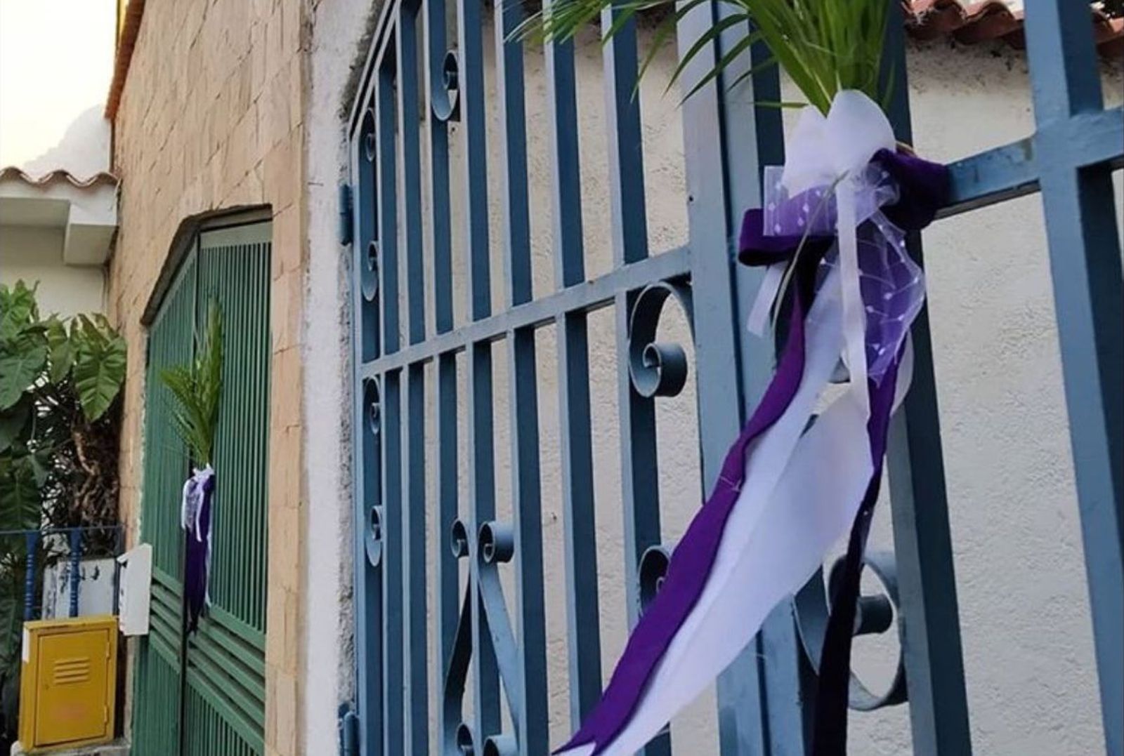 Domingo de Ramos en cuarentena. Venezuela
