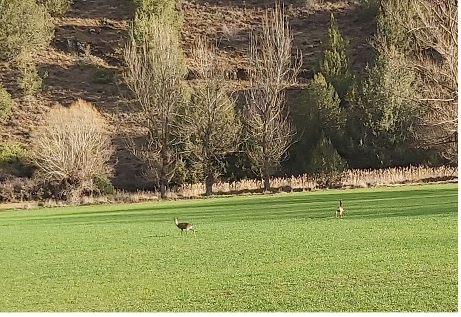 27ª Etapa - IV Lunes de Cuaresma