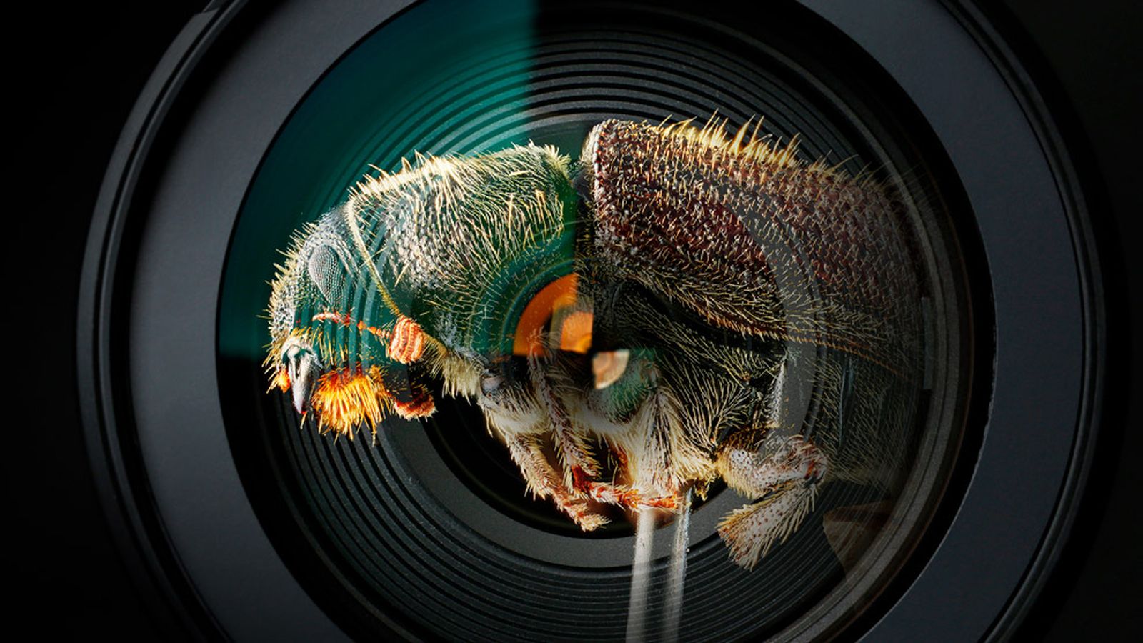 Fotografía científica