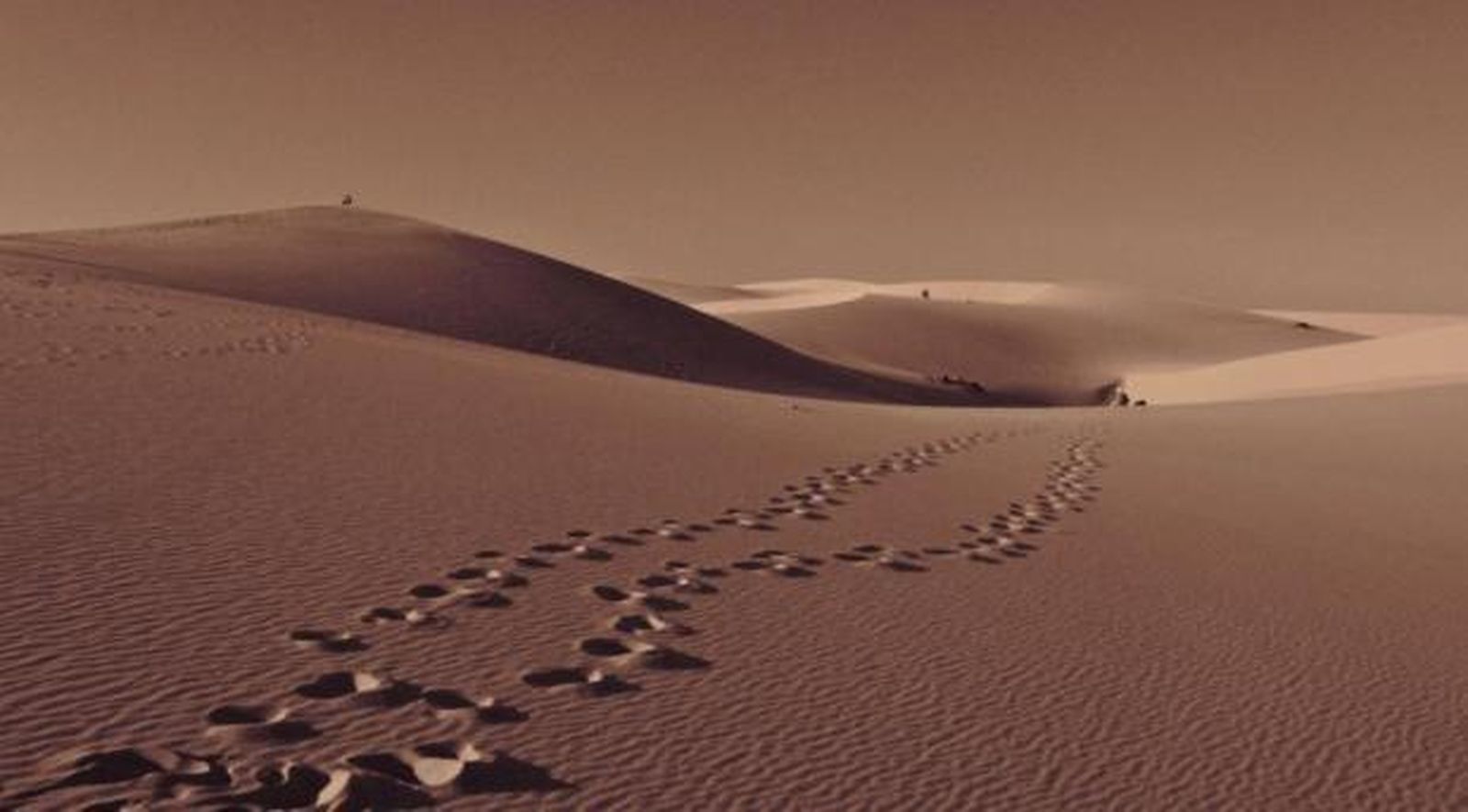 Huellas de fraternidad