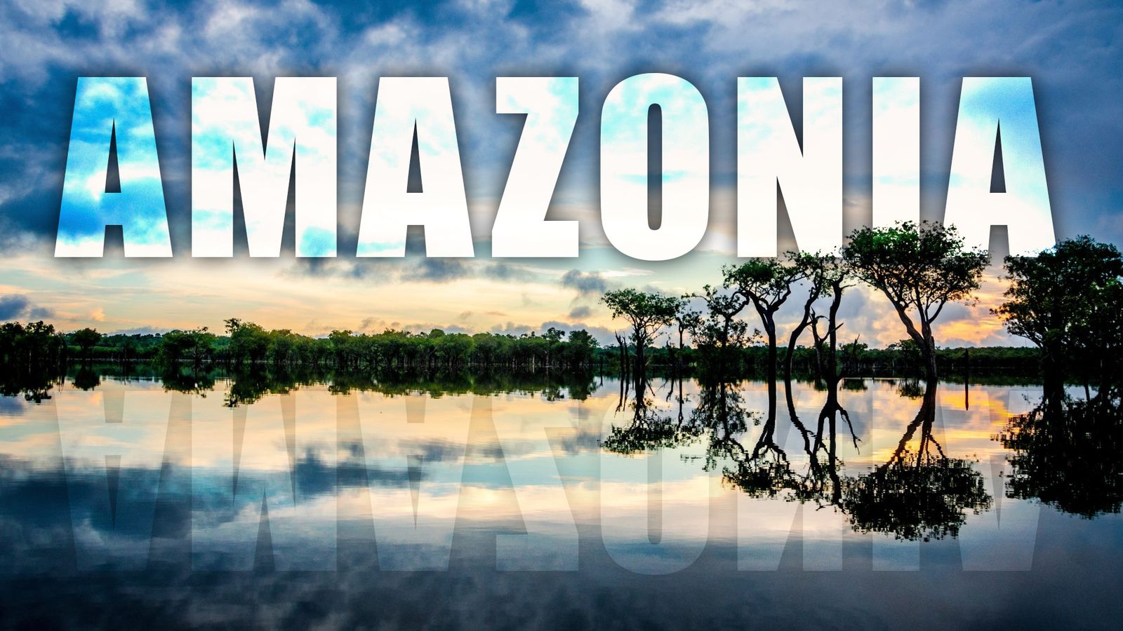 'Amazonia' se escribe 'sin tilde'