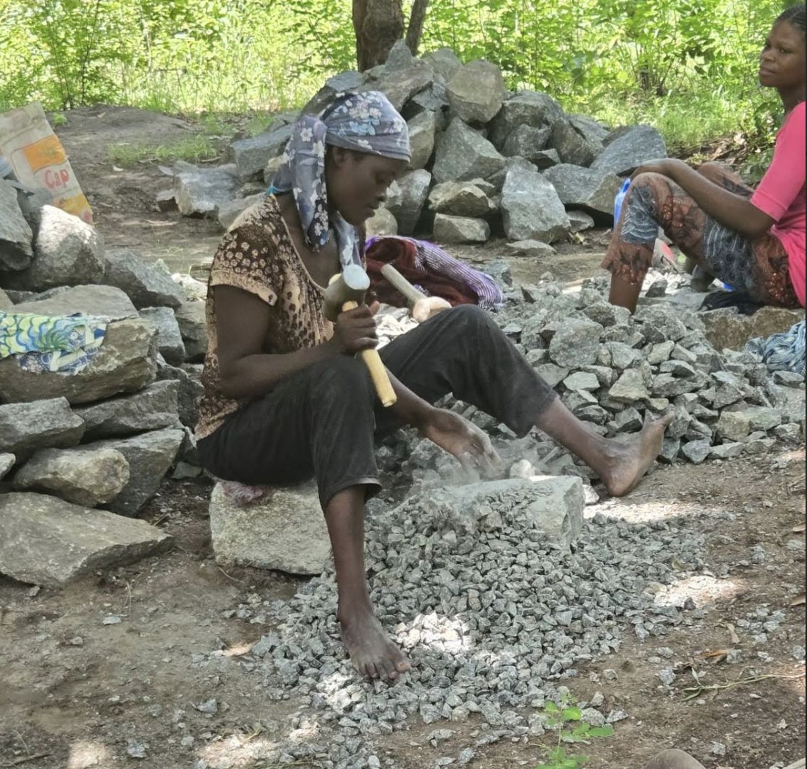 Niños de las canteras