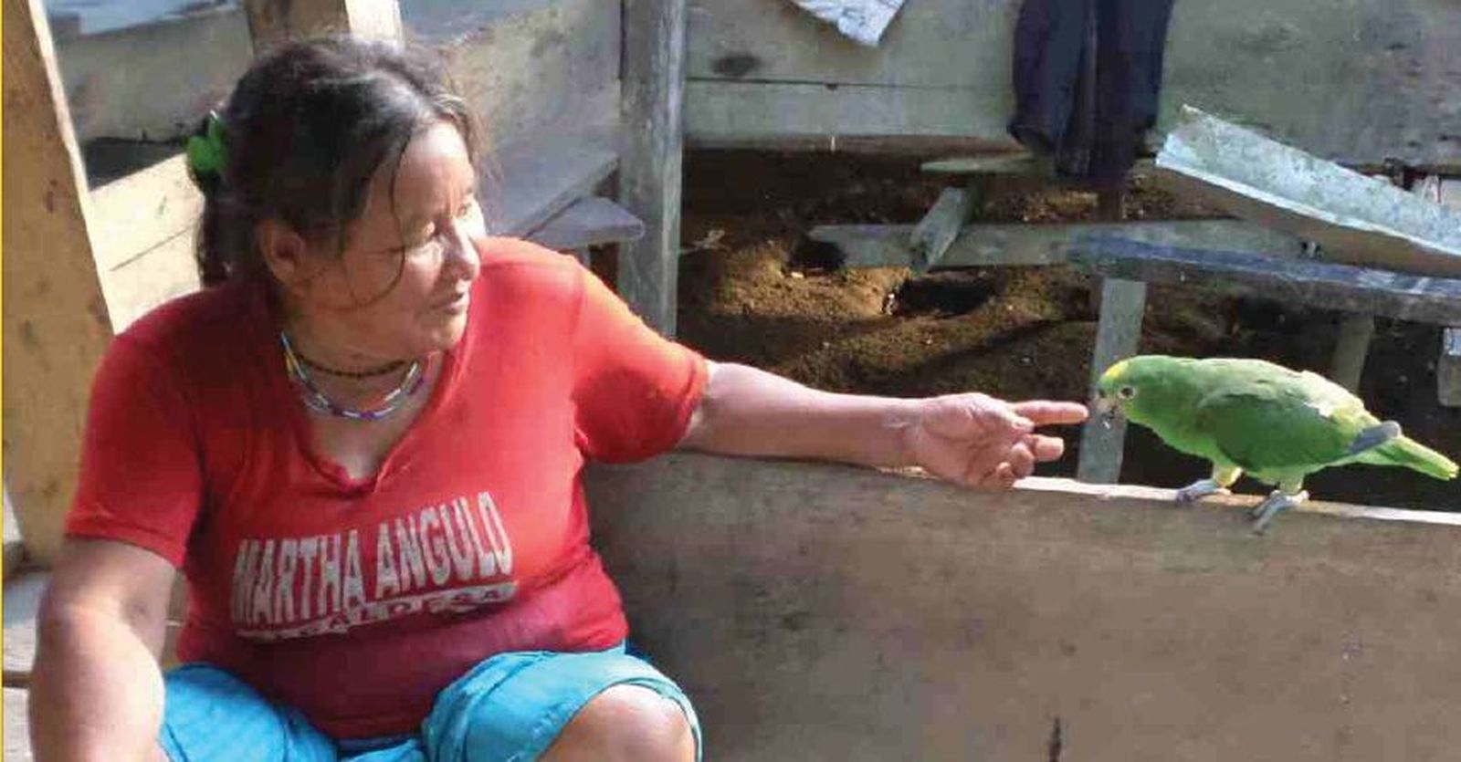 40 días navegando con Laudato Si en la Querida Amazonía