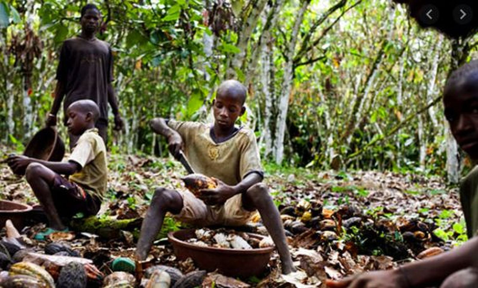 Niños esclavos en Benin