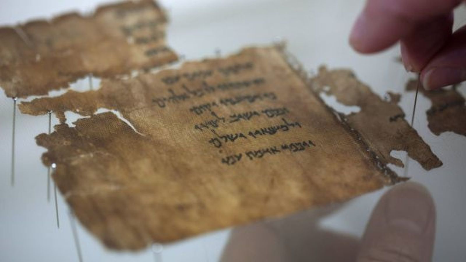 Fragmentos de los manuscritos