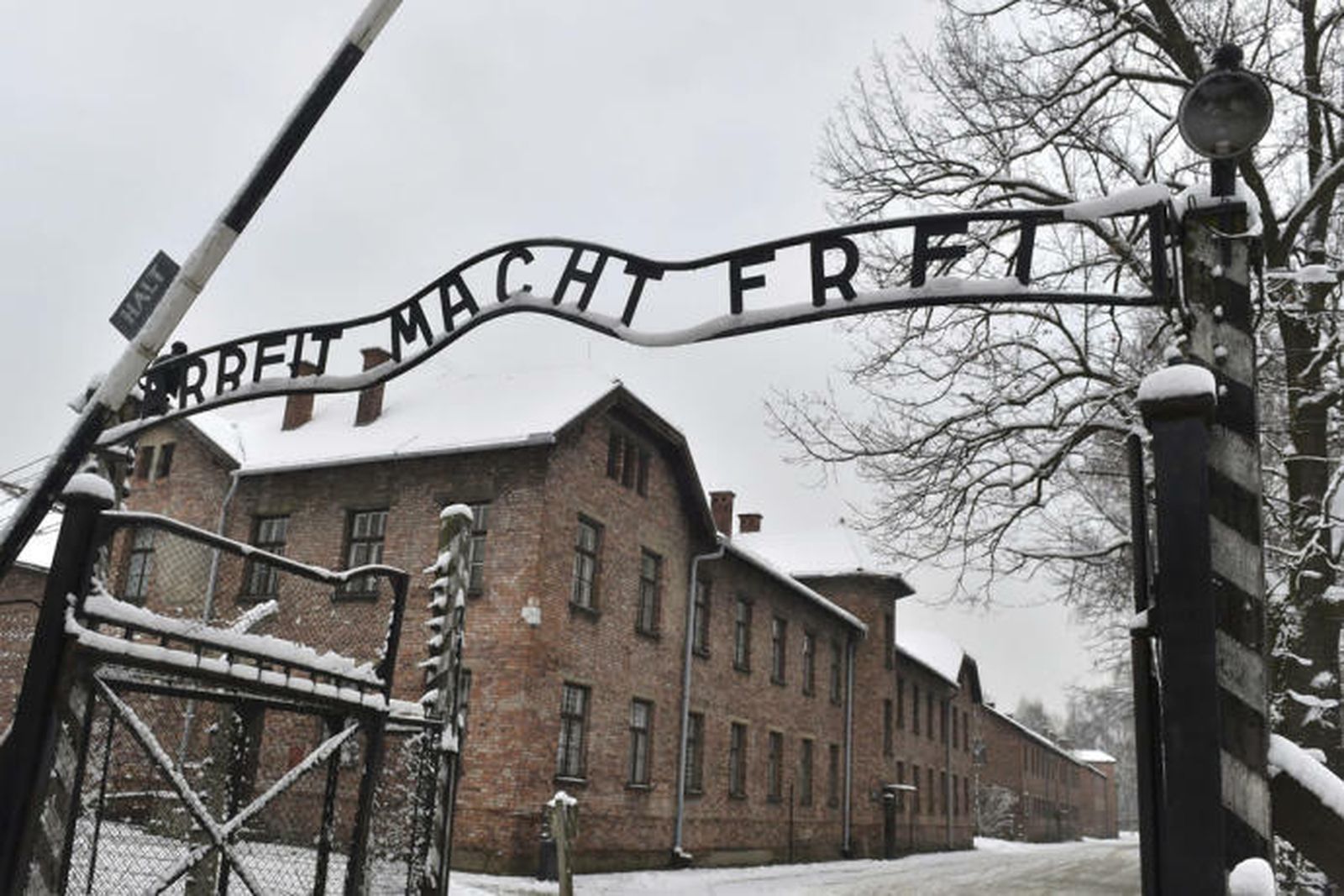 Campo de concentración de Auschwitz