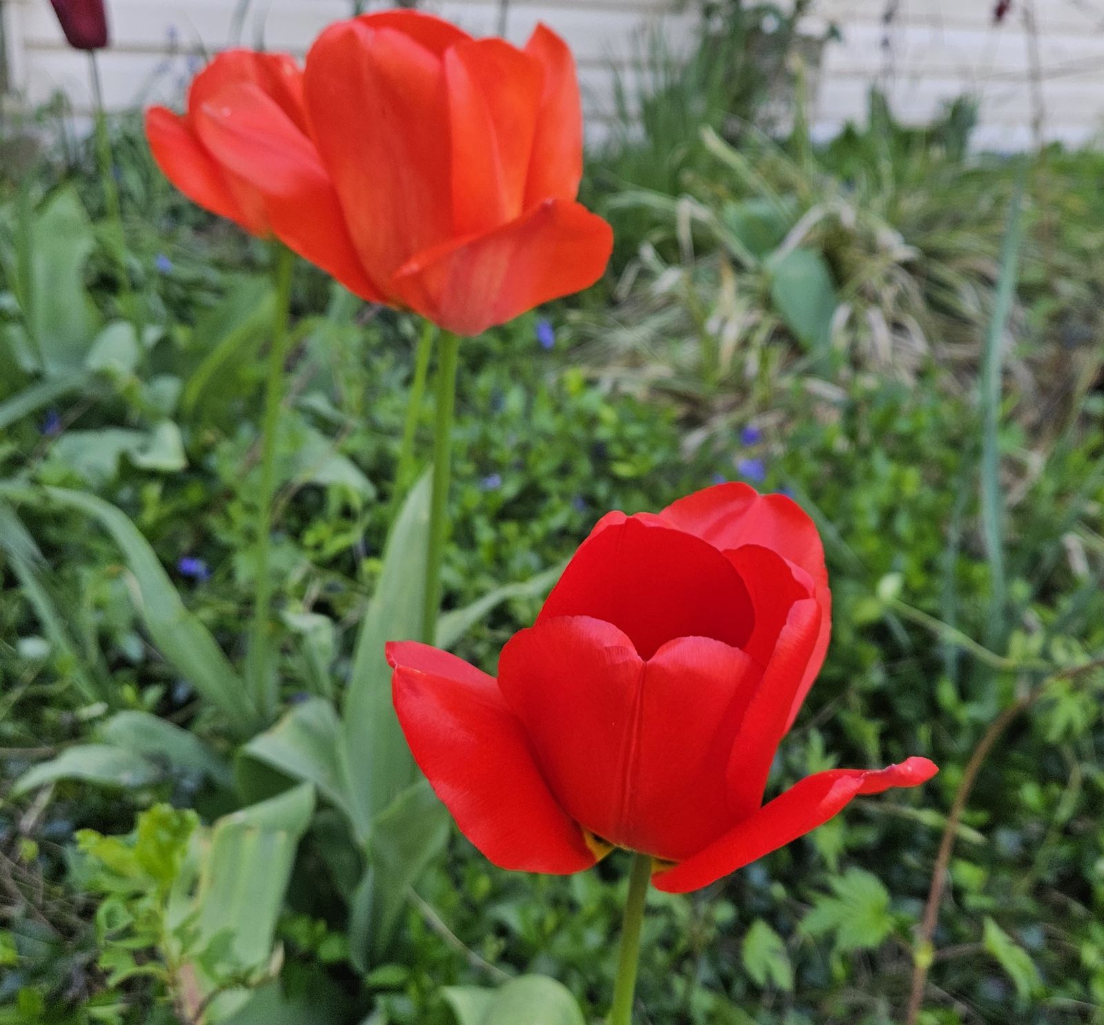 9 de mayo: Mes de María