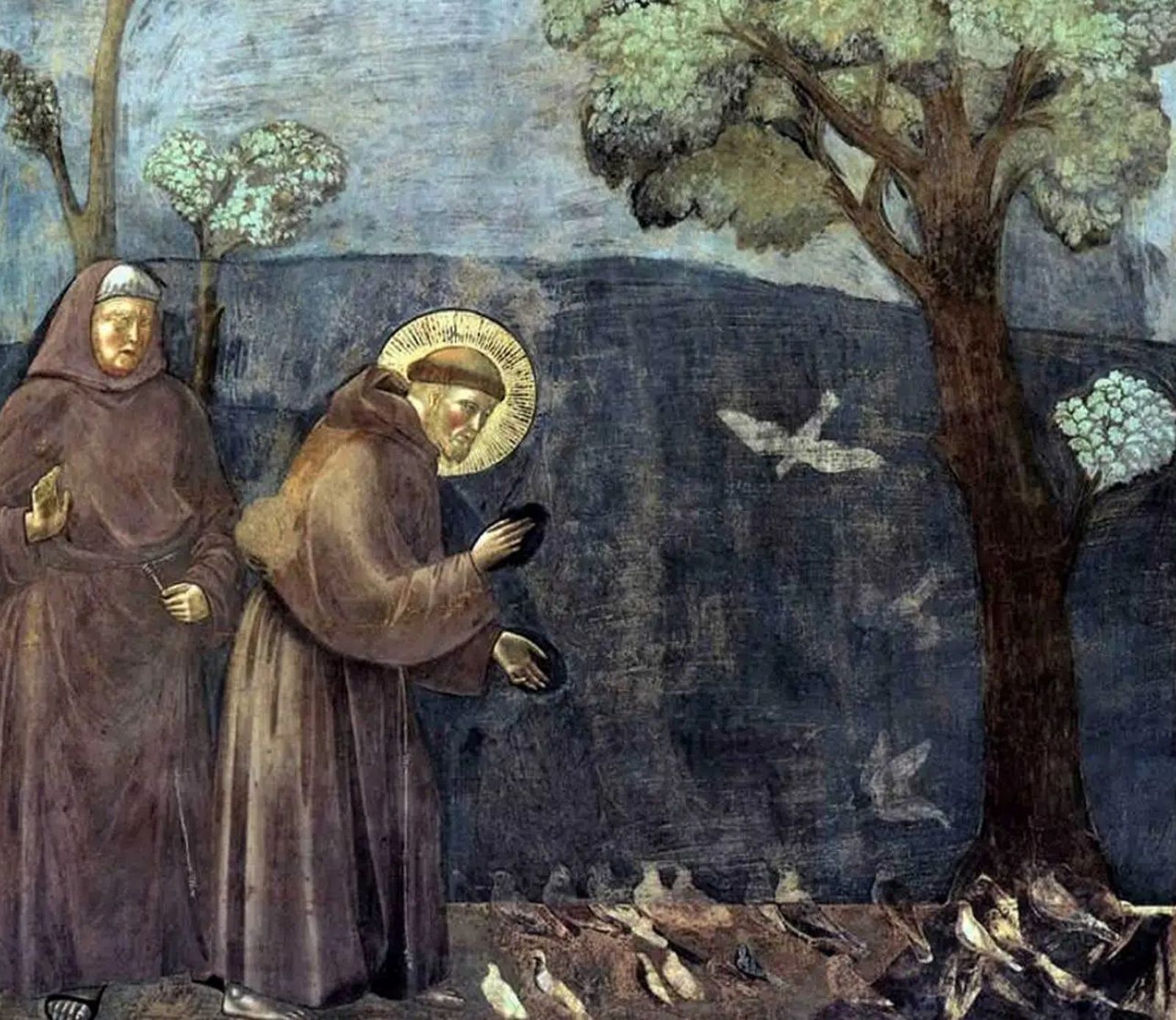 Francisco de Asís. Giotto
