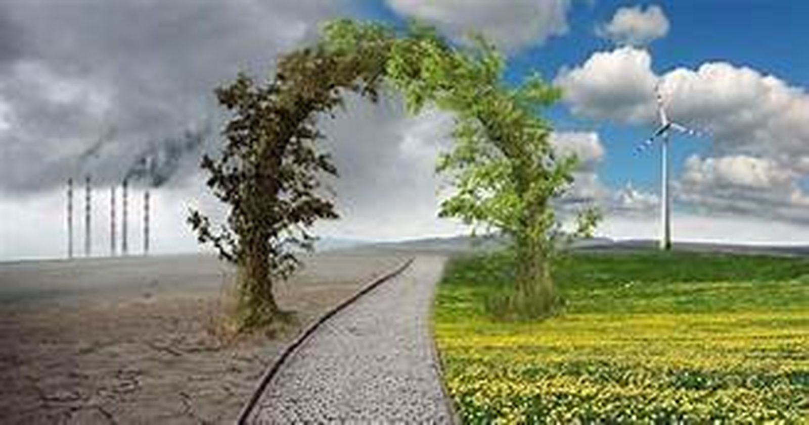 Cambio Climático, un desafío actual