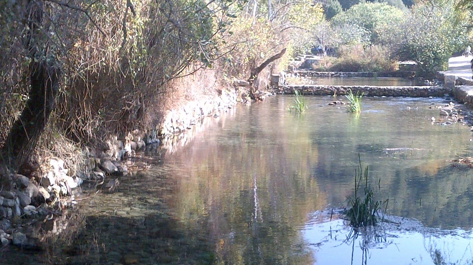 Banias