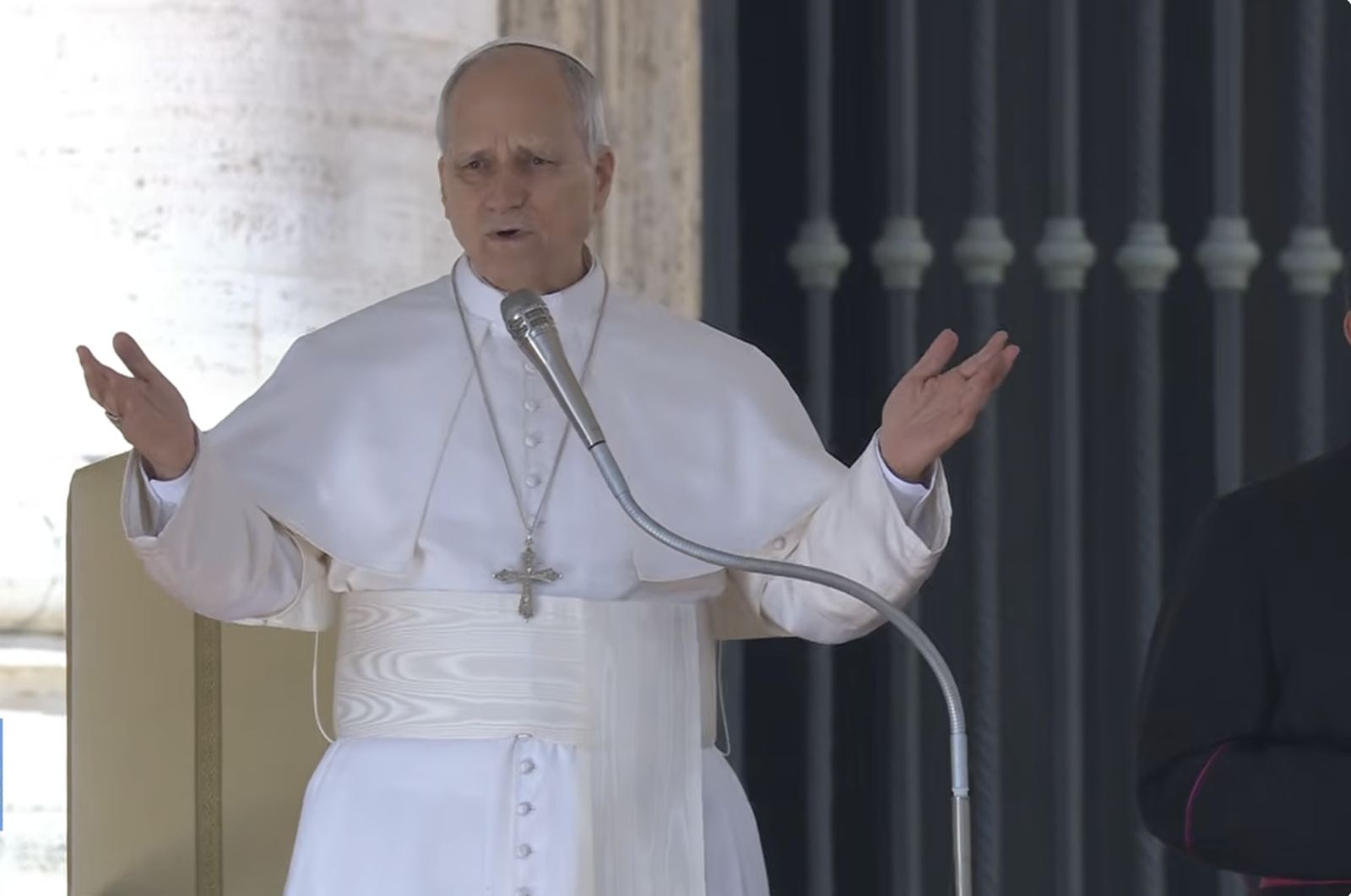 El Papa, al inicio de la audiencia general