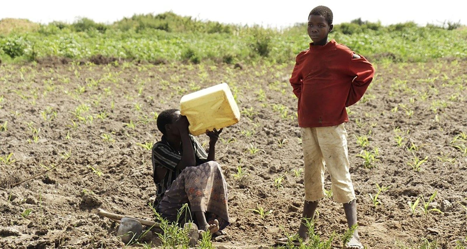 Jornada mundial del agua