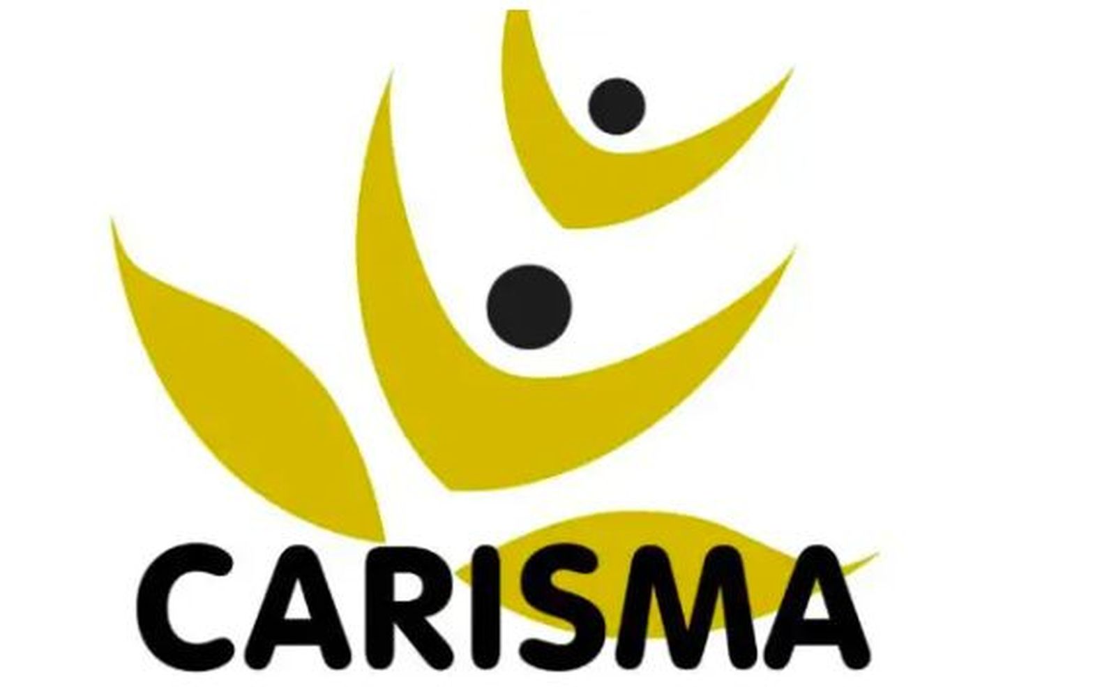 Premios 'Carisma' de CONFER