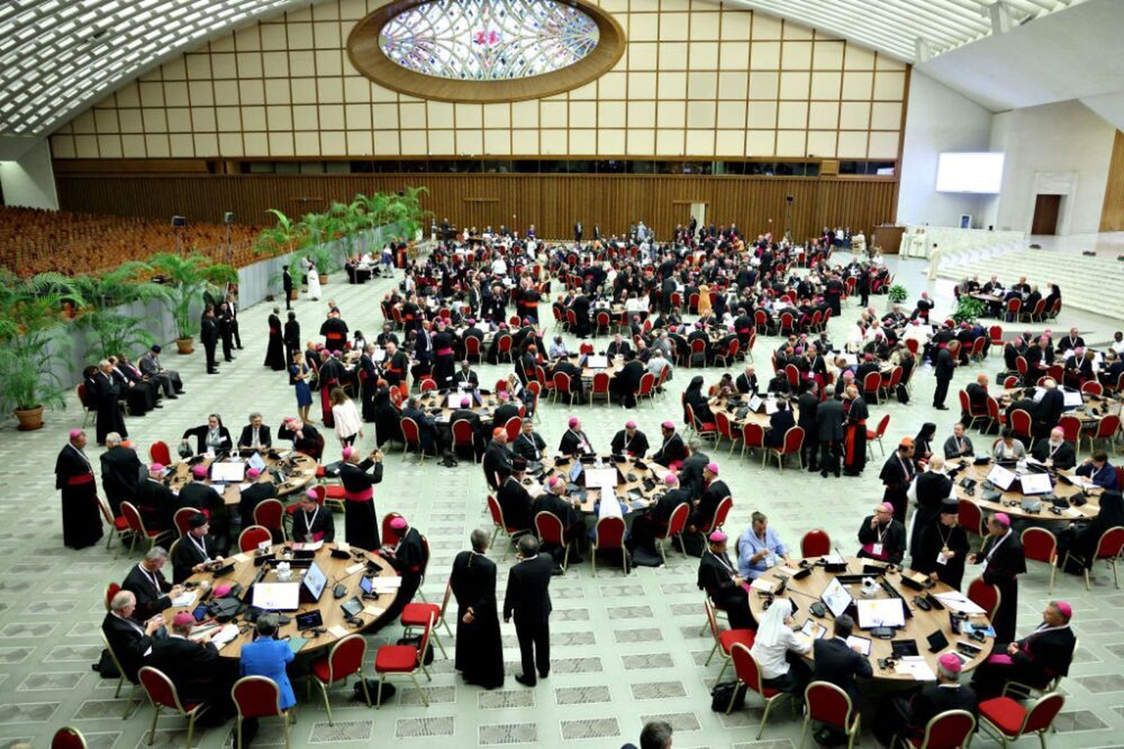 Sínodo de la sinodalidad