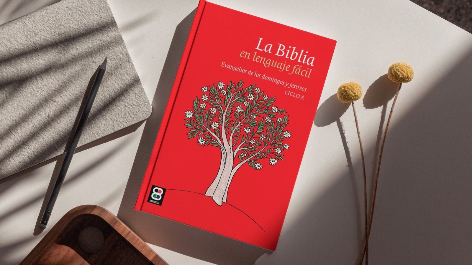 La Biblia en lenguaje fácil (EDIBESA)
