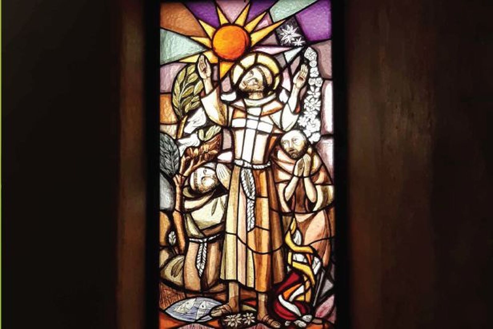 40 días navegando con Laudato Si en la Querida Amazonía