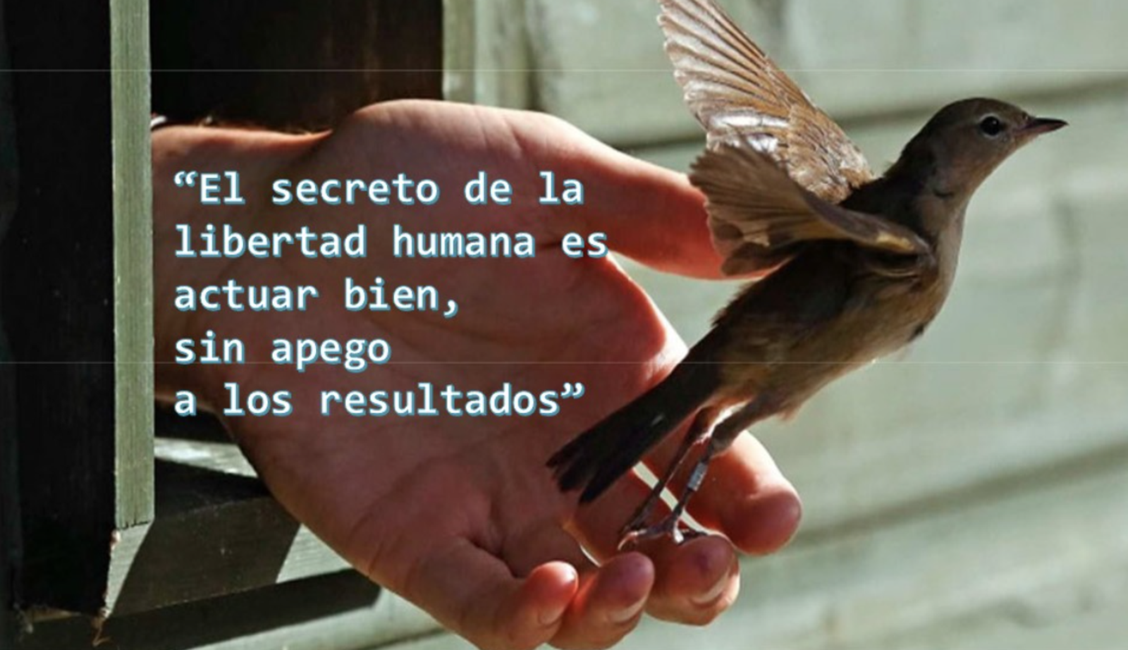 No tengáis miedo