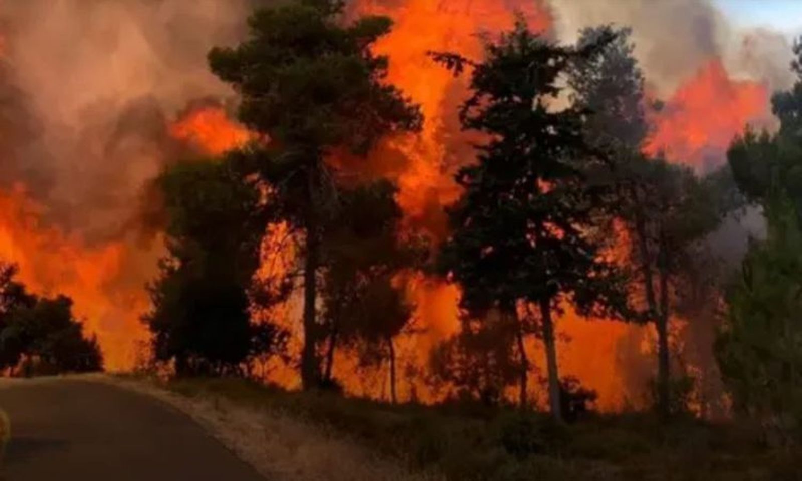 El Consejo Ecuménico de las Iglesias, solidario con los incendios en Jerusalén