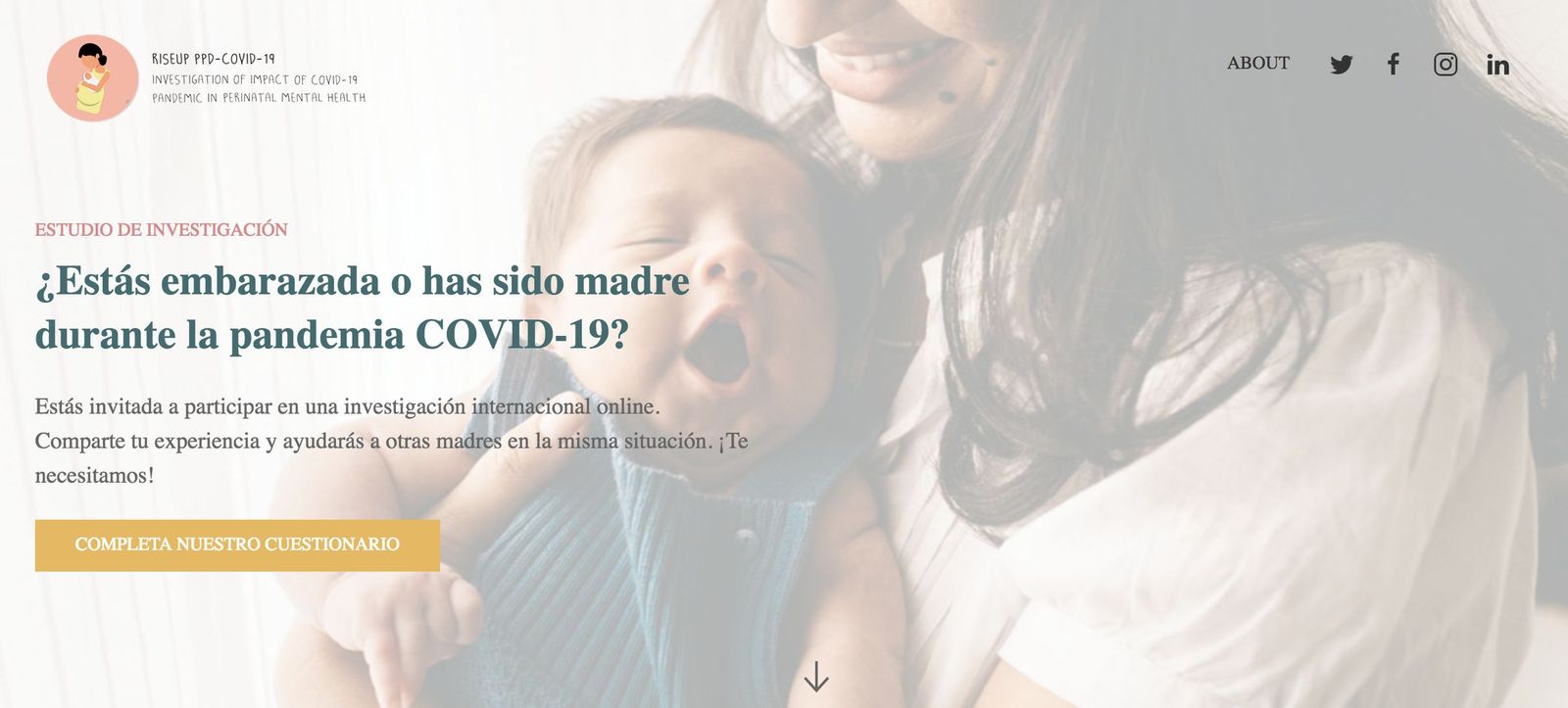 Página del Proyecto