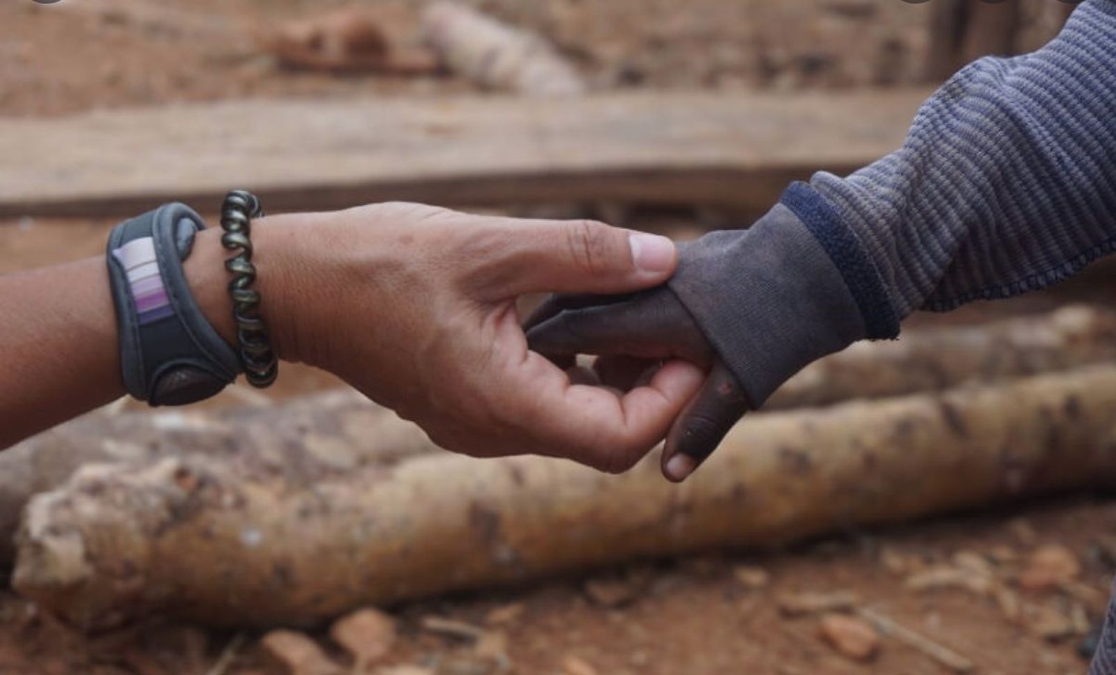 Integración racial en USA