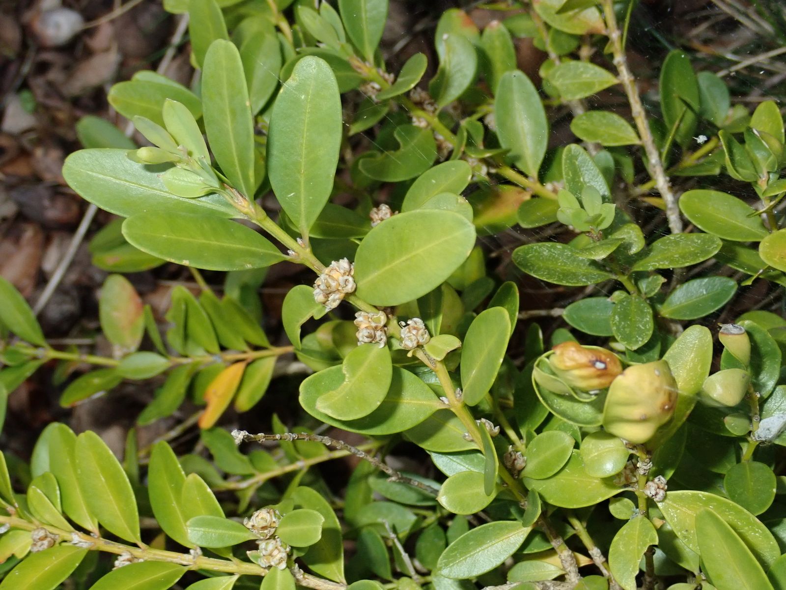 14 de abril: Lunes Santo