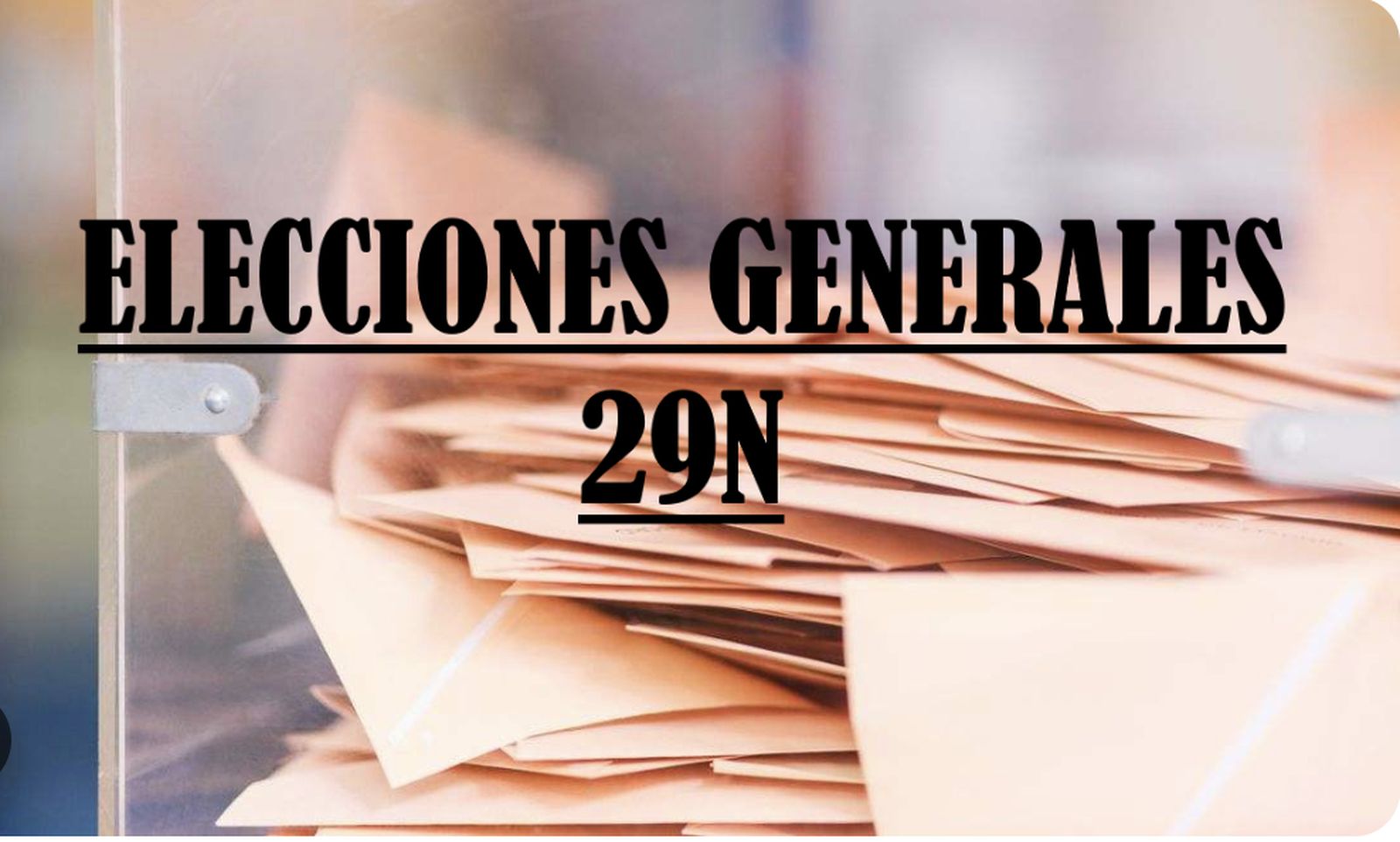 Elecciones 29N