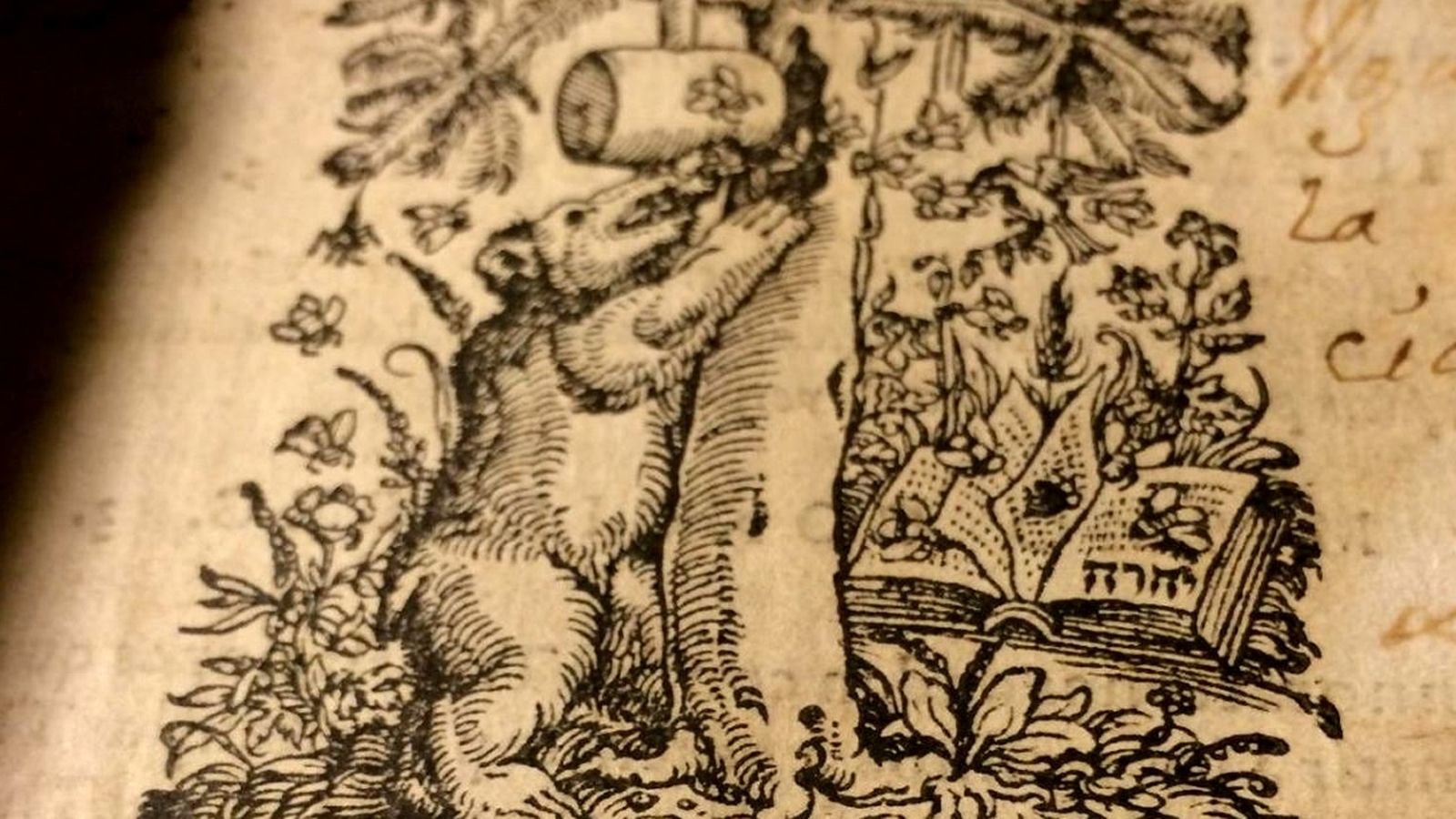 Alfaguara reedita la Biblia del Oso