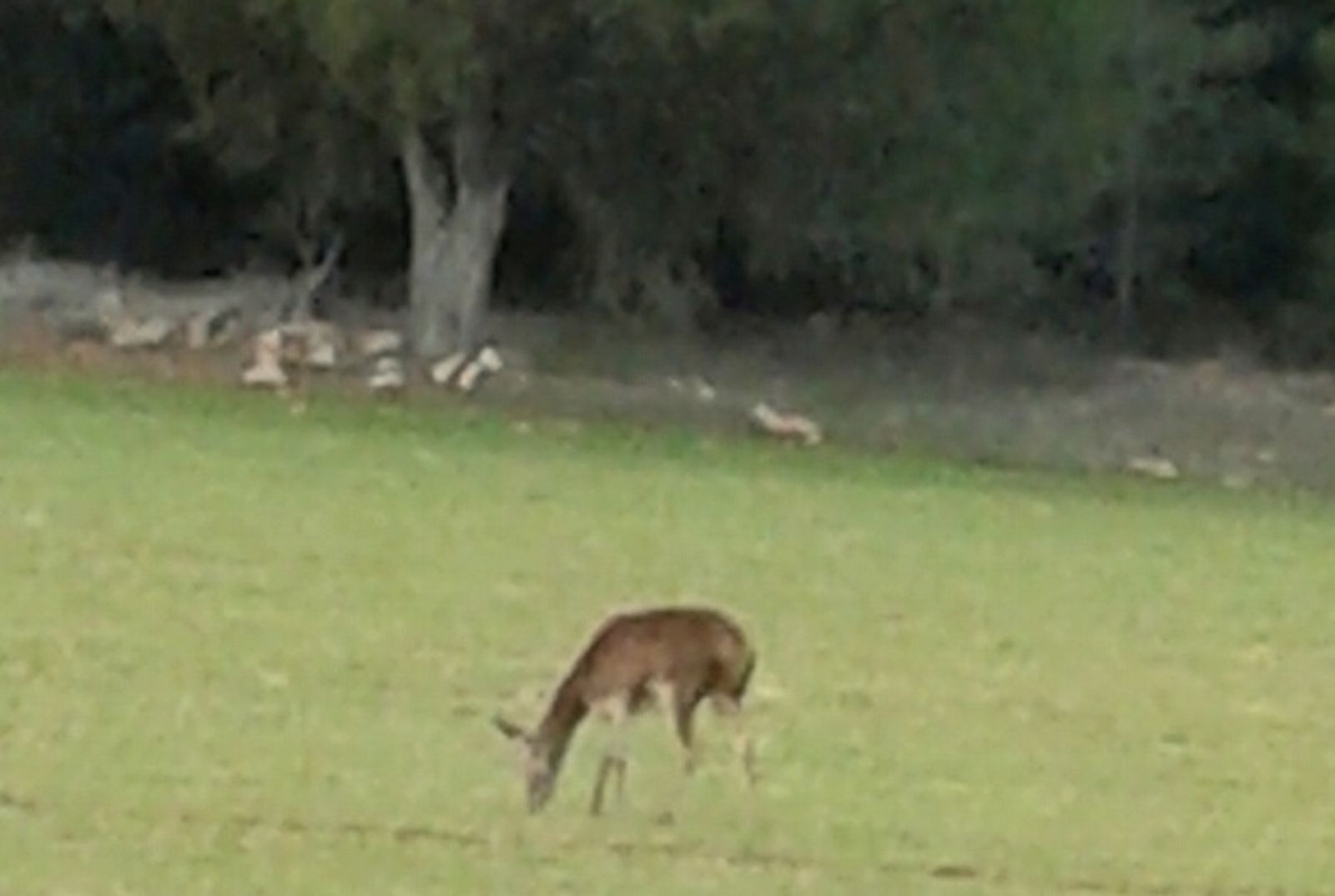 IV Martes de Adviento