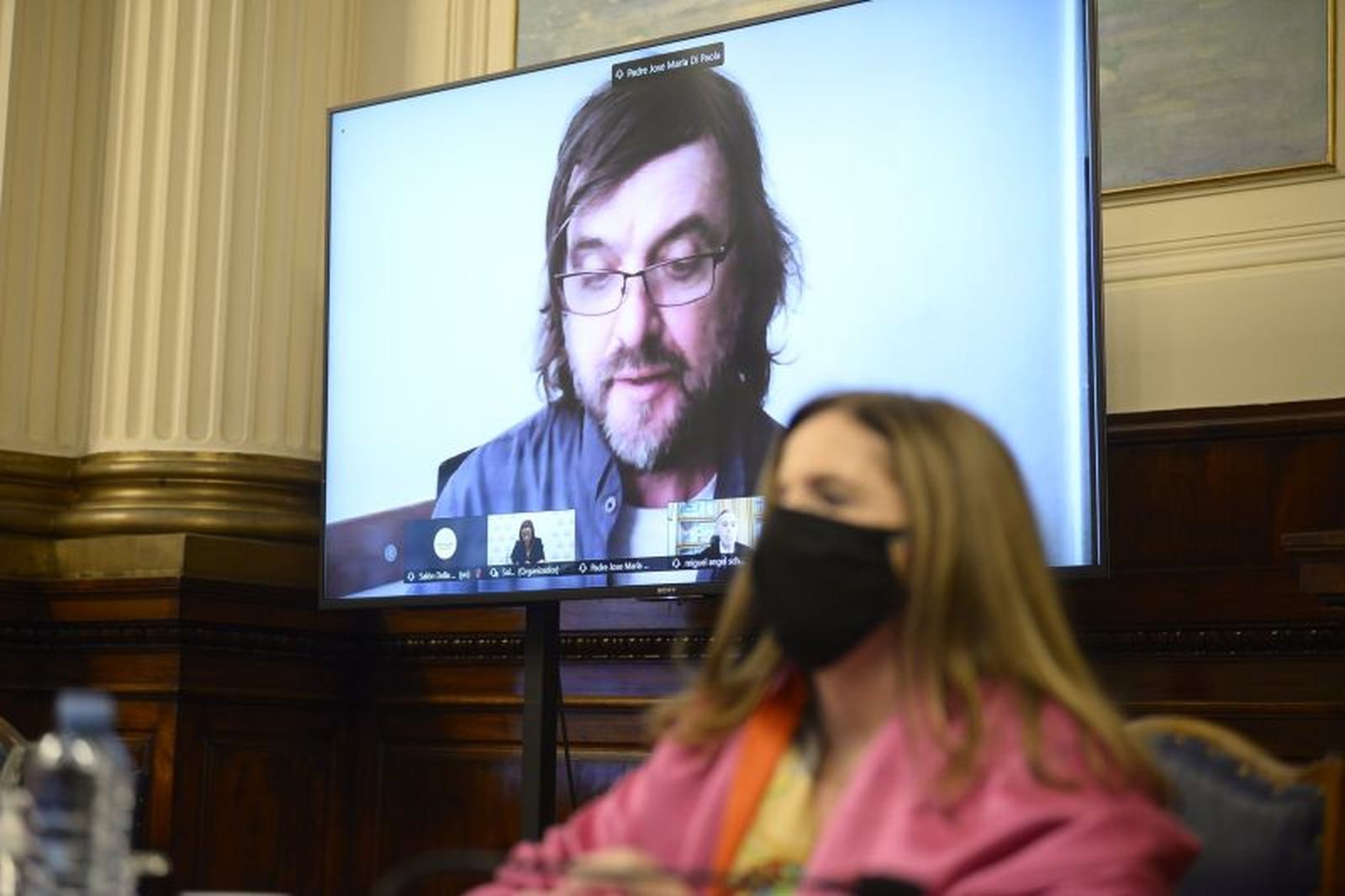 Di Paola en su intervención ante los diputados