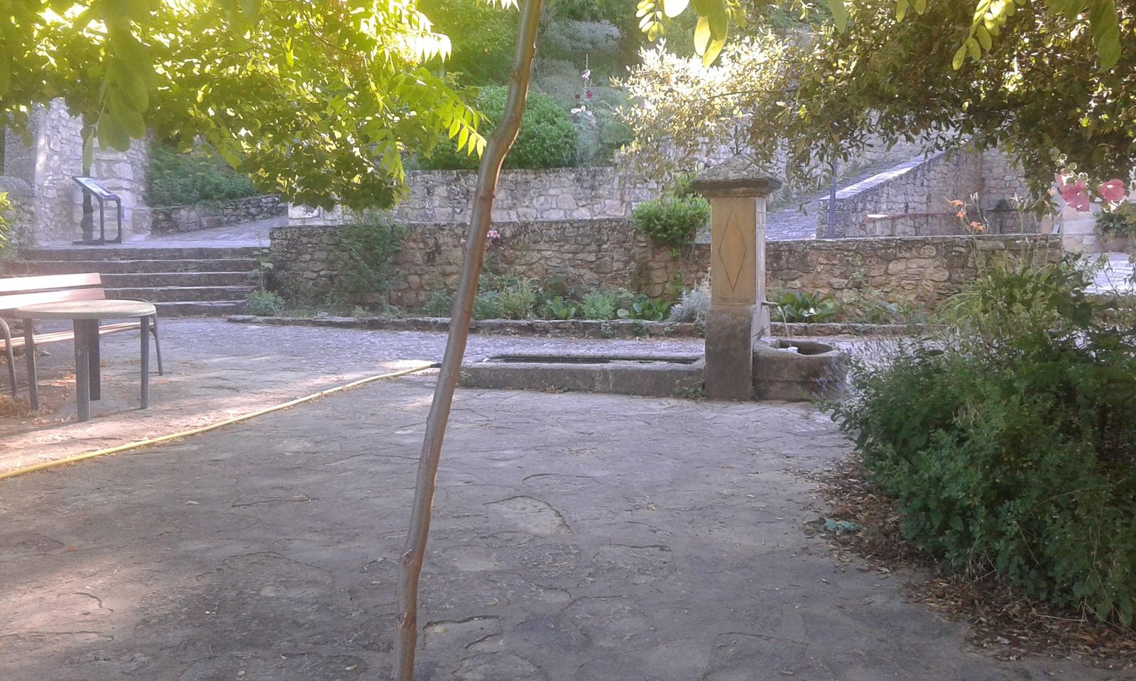 9 de Noviembre: XXXII Domingo del Tiempo Ordinario