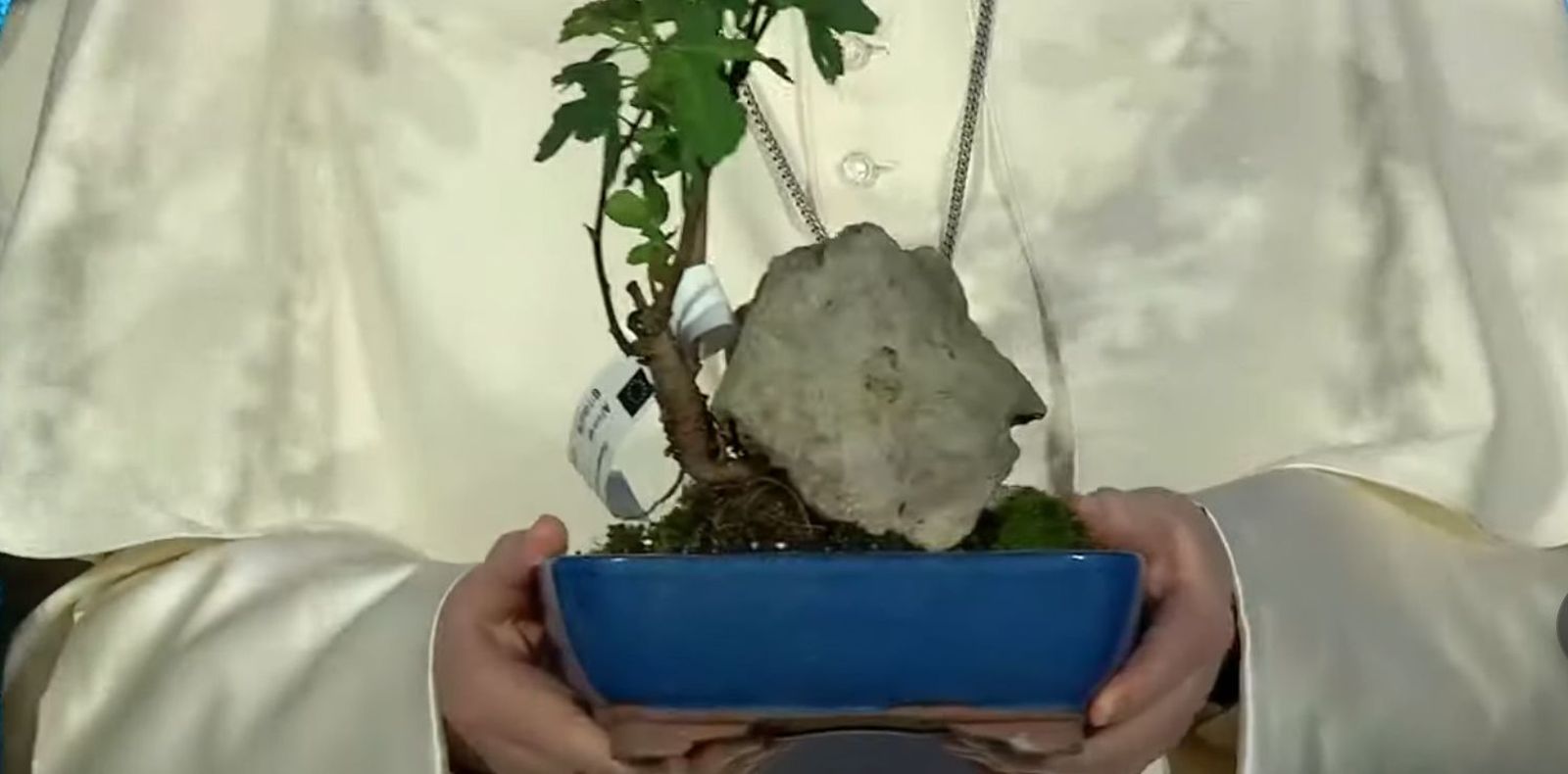 El Papa y la higuera de la fertilidad