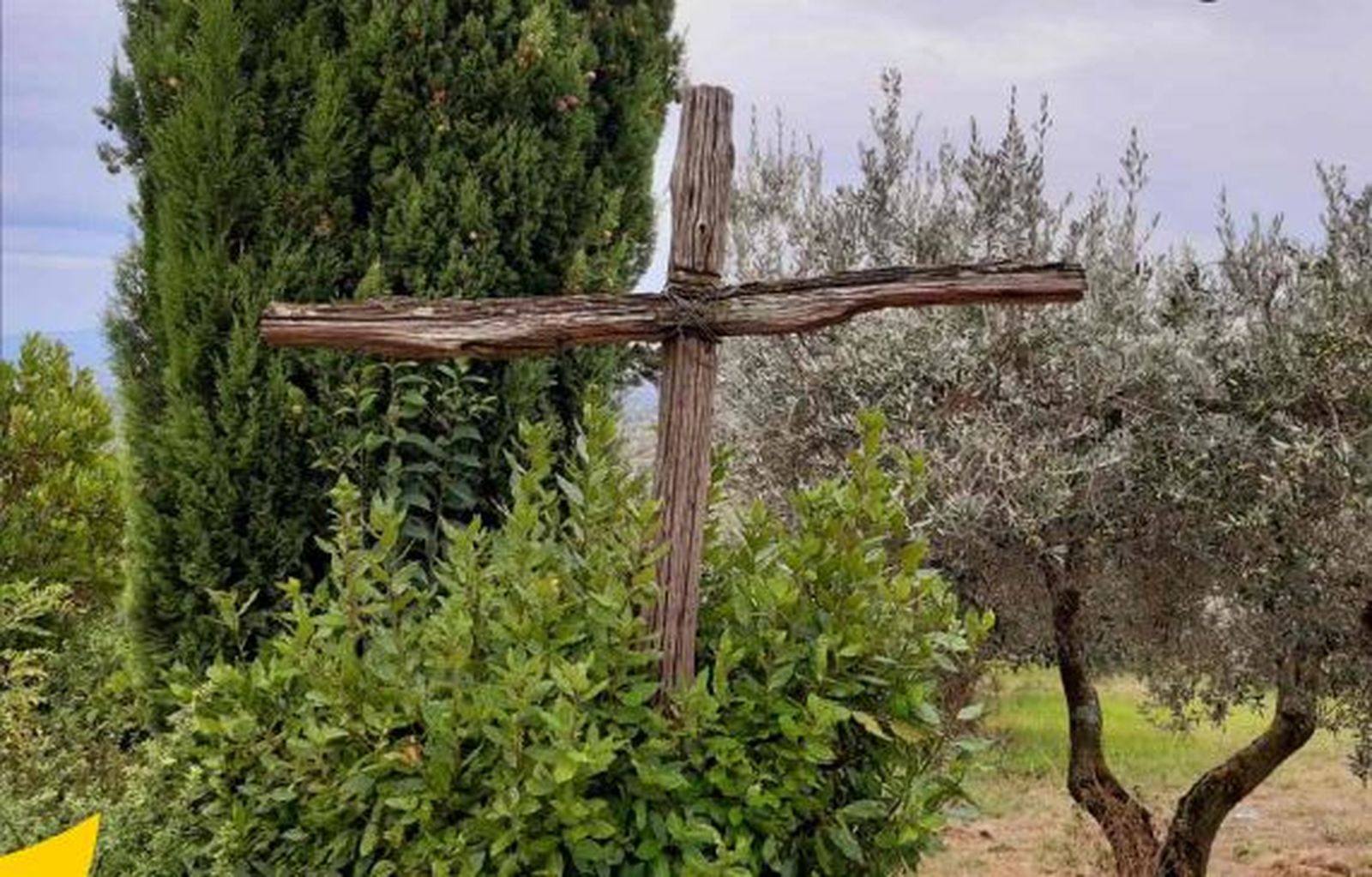 nos amas hasta la exageración