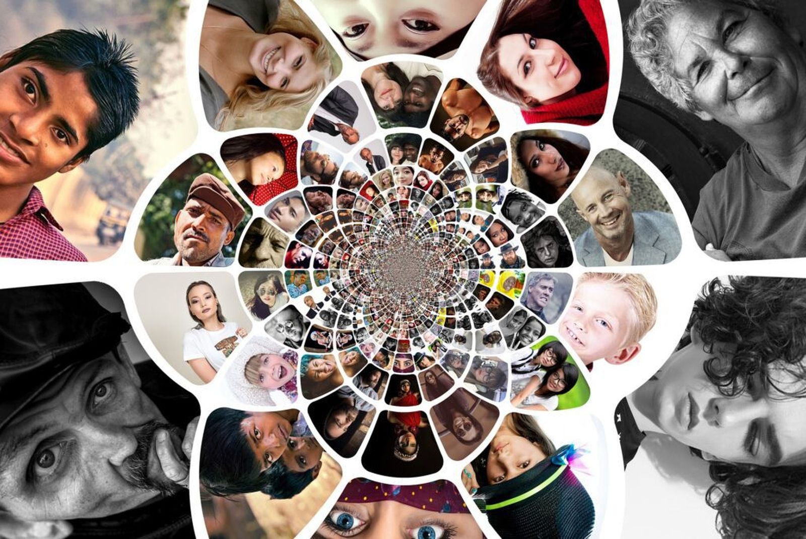 Diversidad