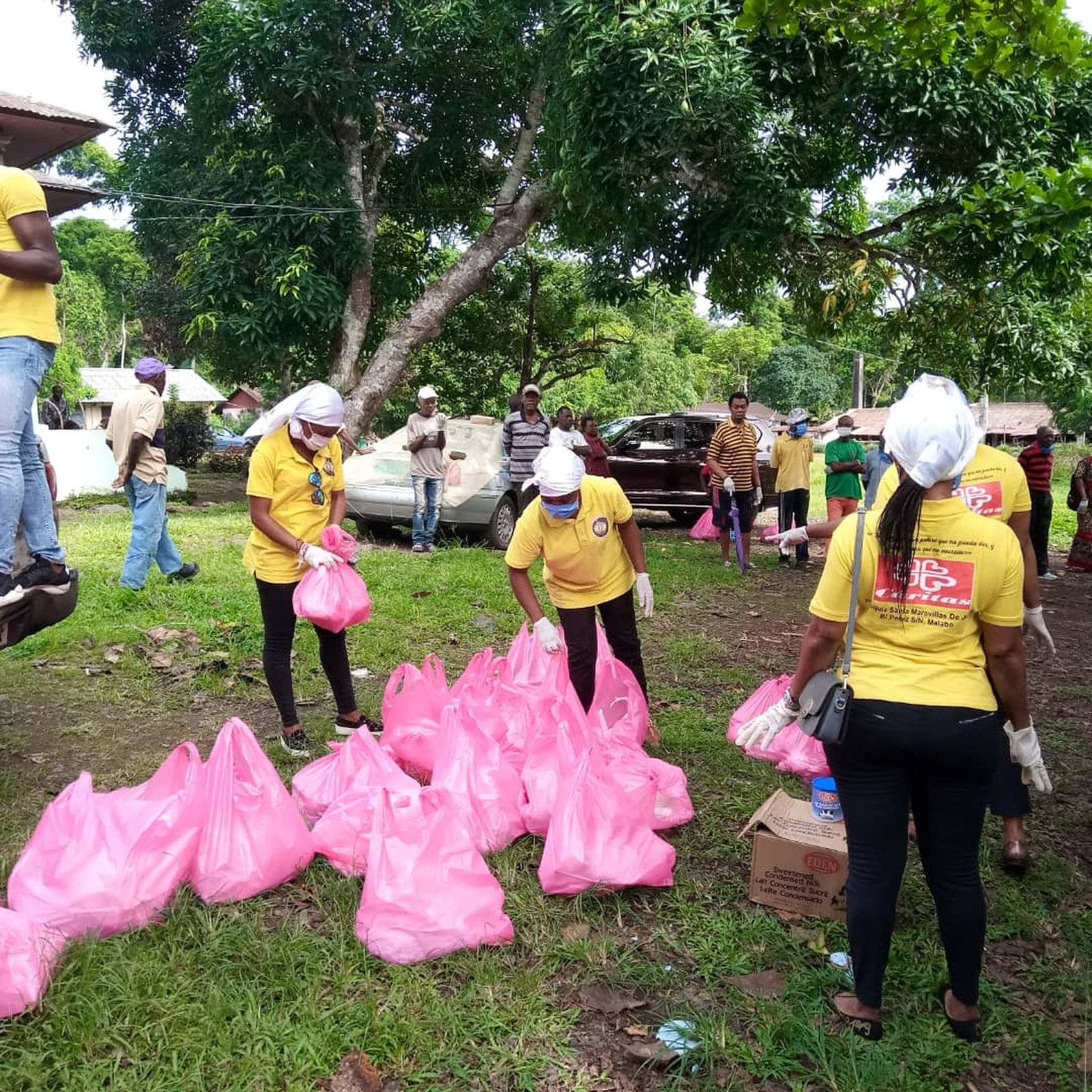 Selvas Amazónicas. Reparto en Guinea Ecuatorial