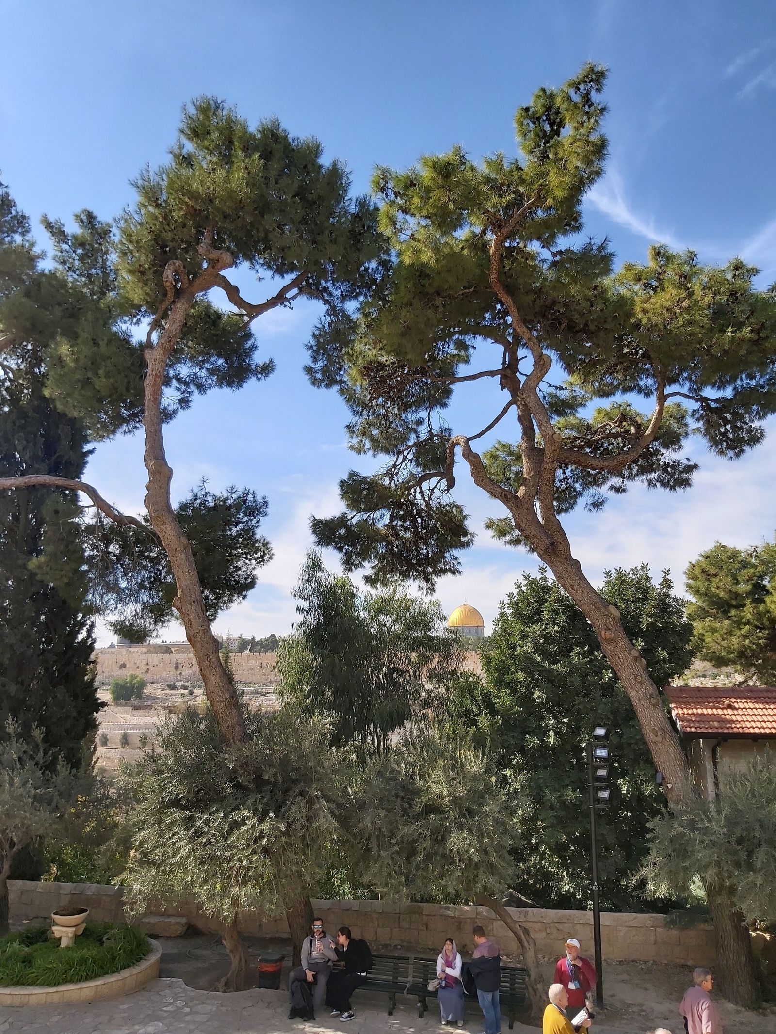 15ª Etapa - II Miércoles de Cuaresma