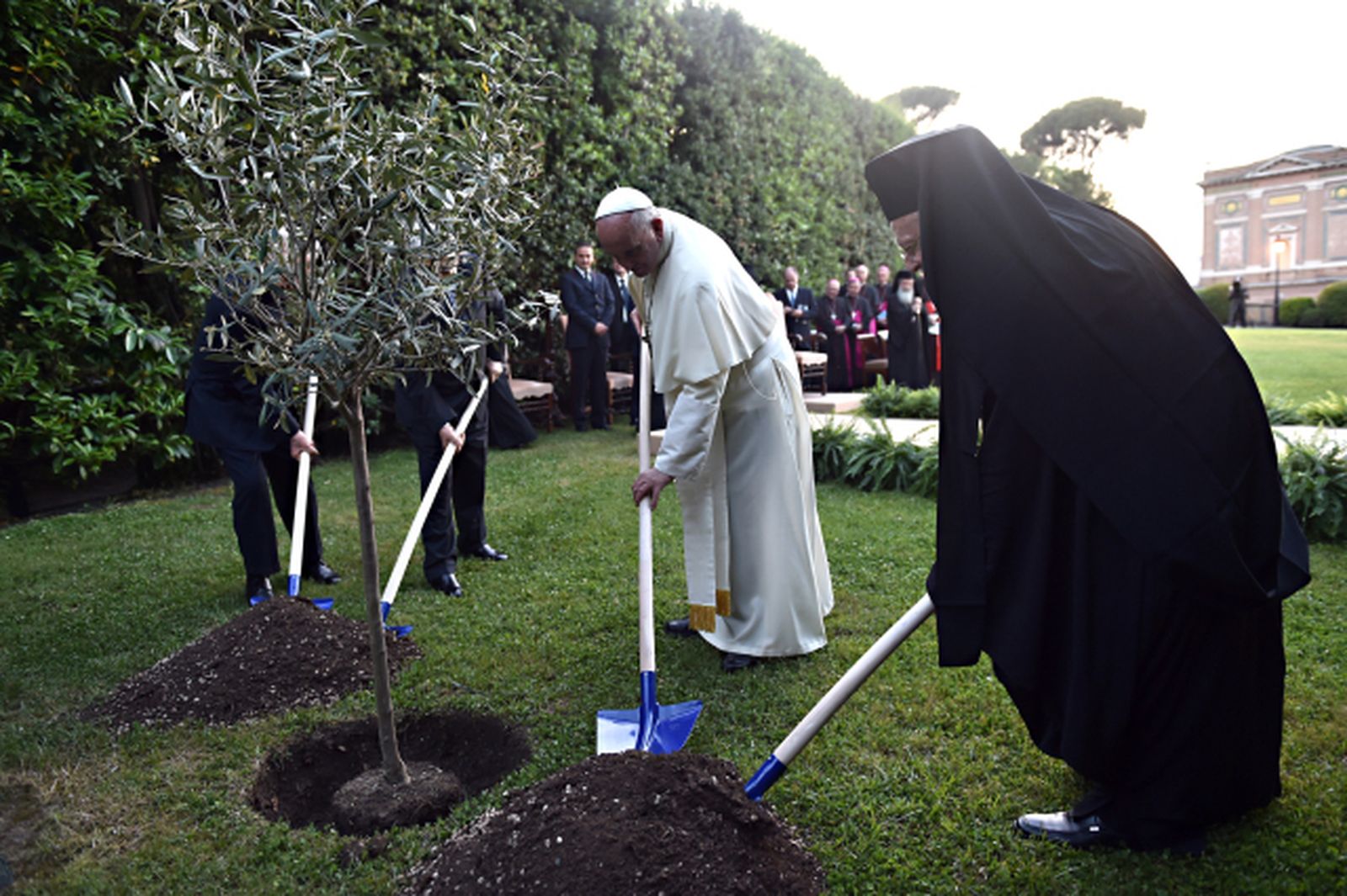 Papa y Patriarca plantan un árbol