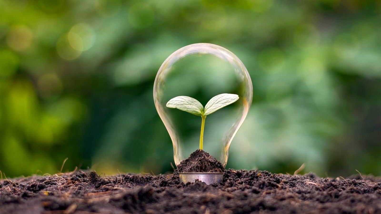 Inversiones y ética