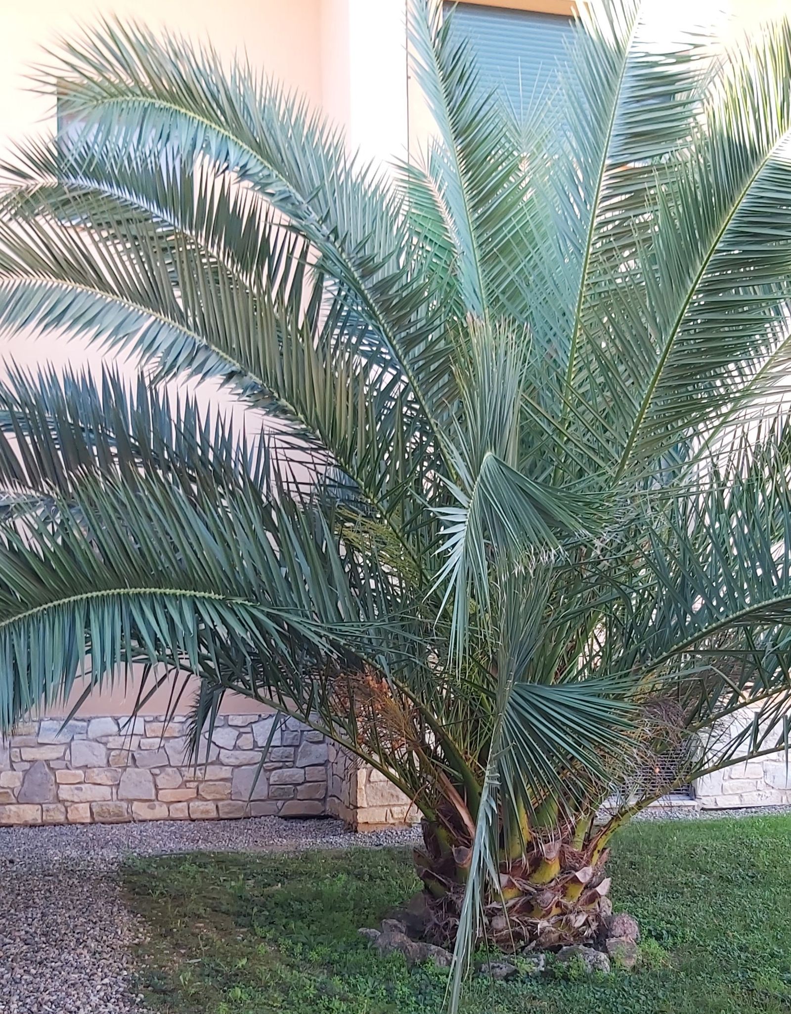 13 II Viernes de Adviento