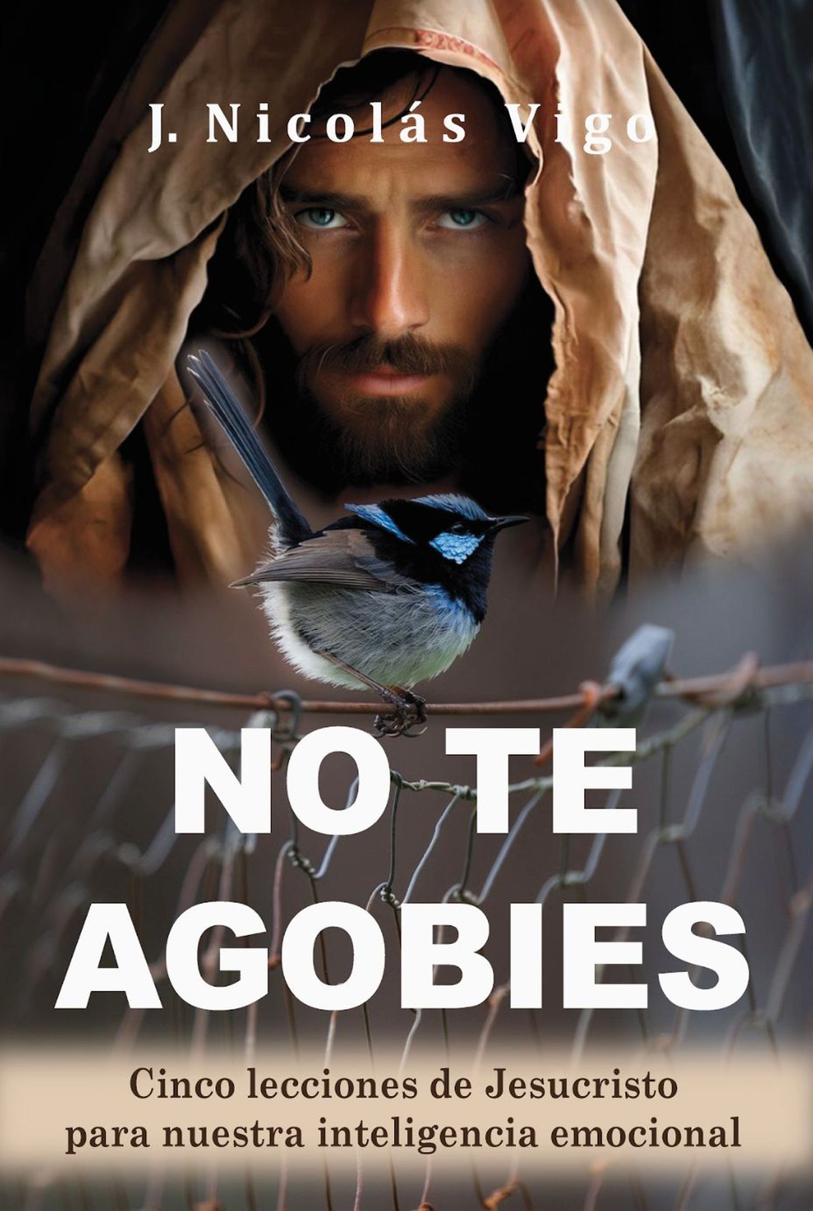 Libro de Nicolás Vigo