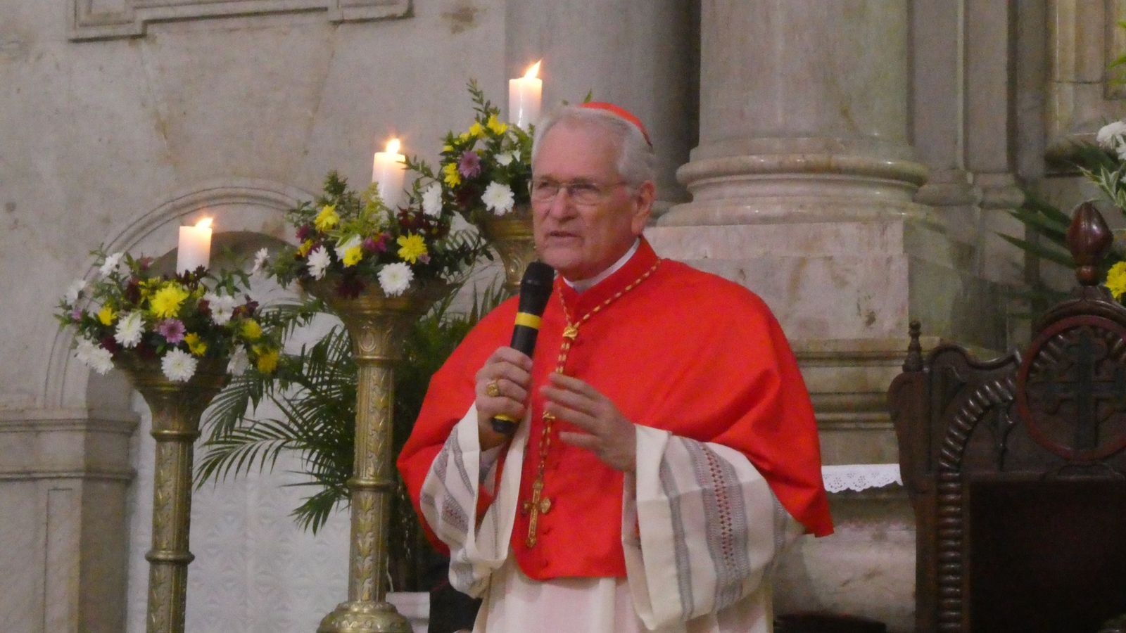 Cardenal Leonardo Steiner