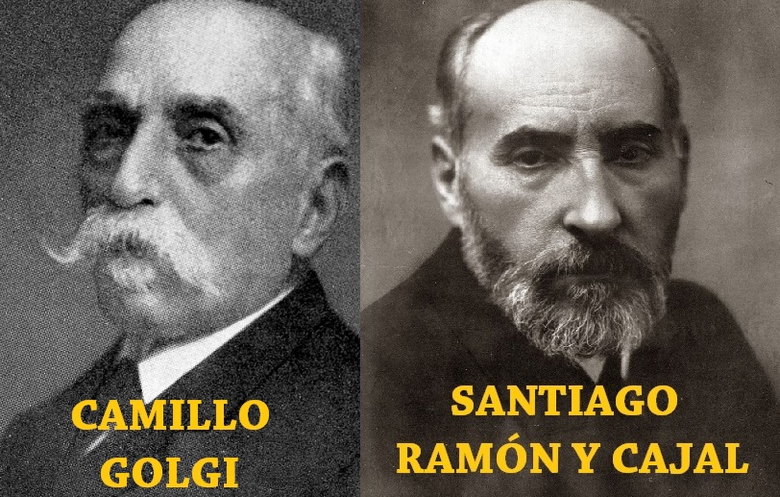 Santiago-Ramón-y-Cajal-06-1