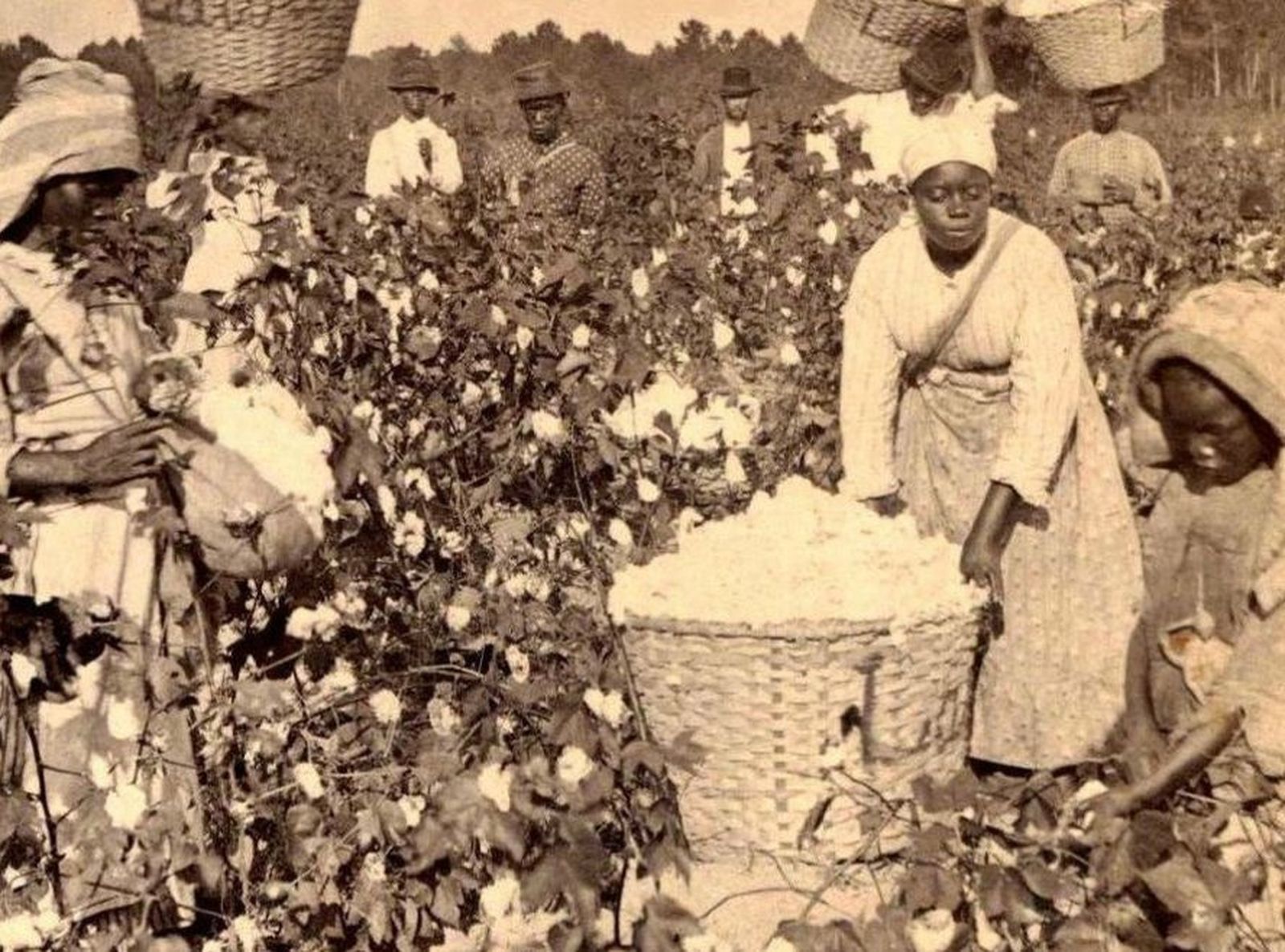 Trabajo esclavo en algodonales americanos