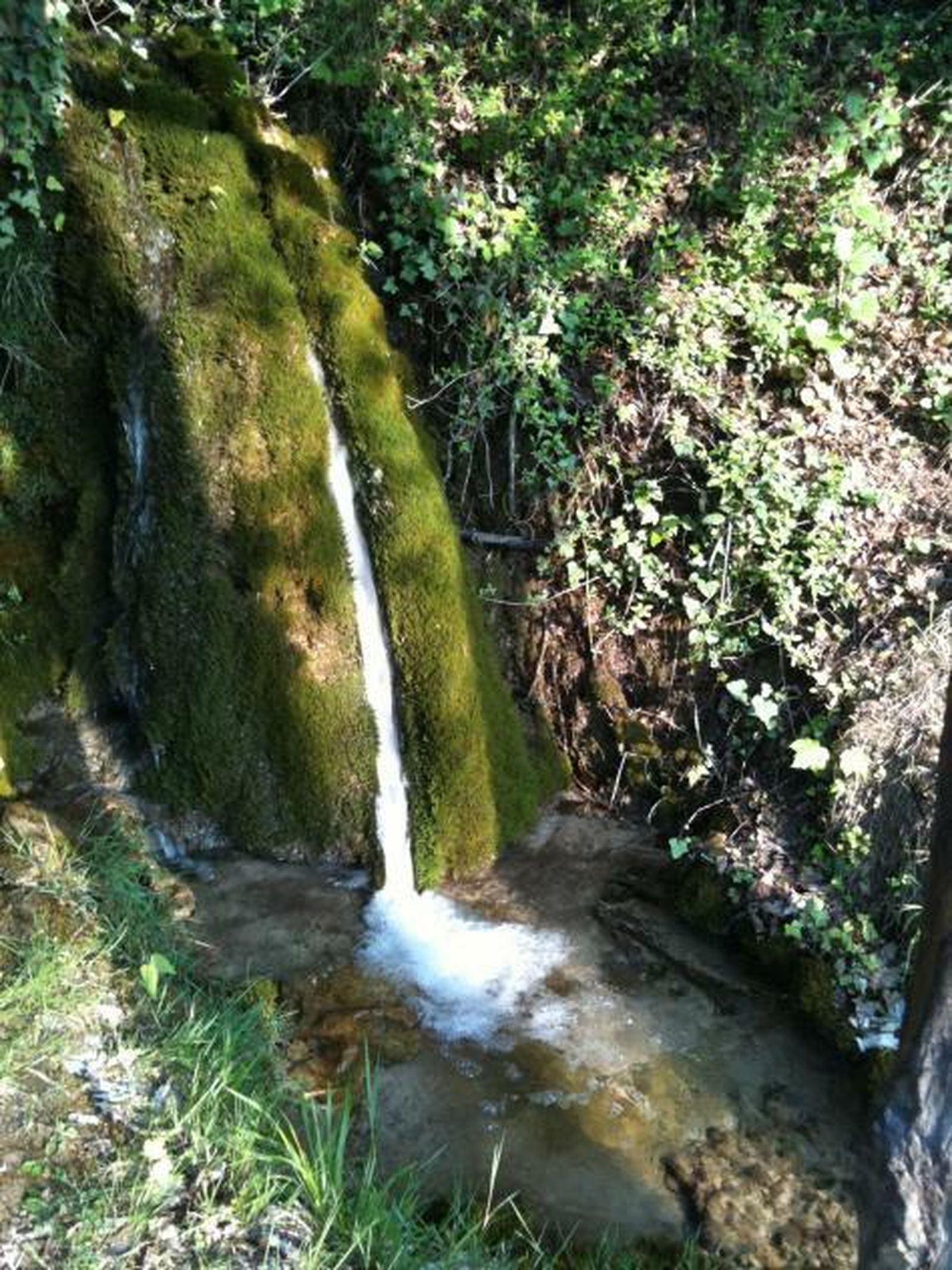 "Volver a la fuente"