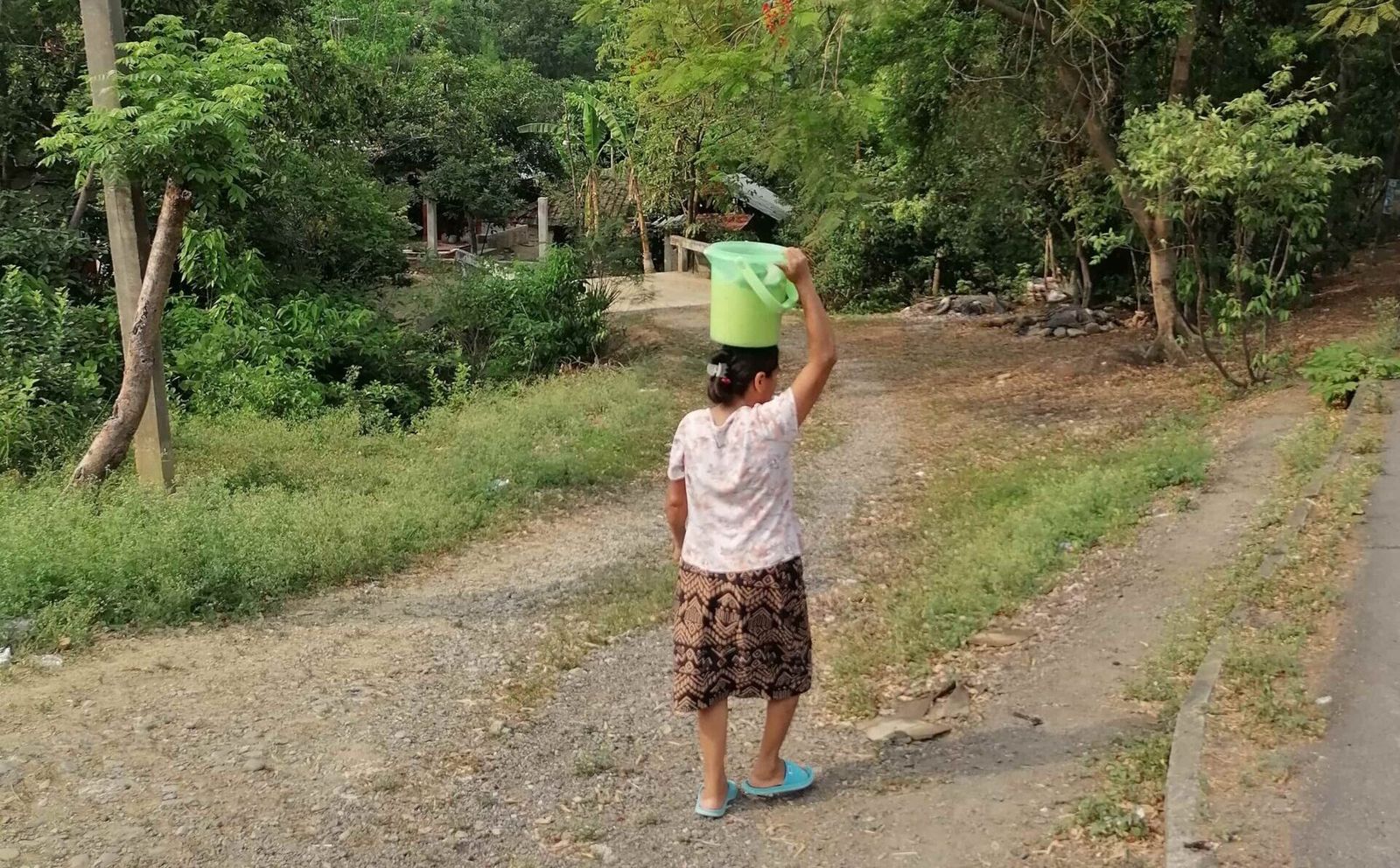 Pidamos conversión de corazón para entender el camino de Jesús