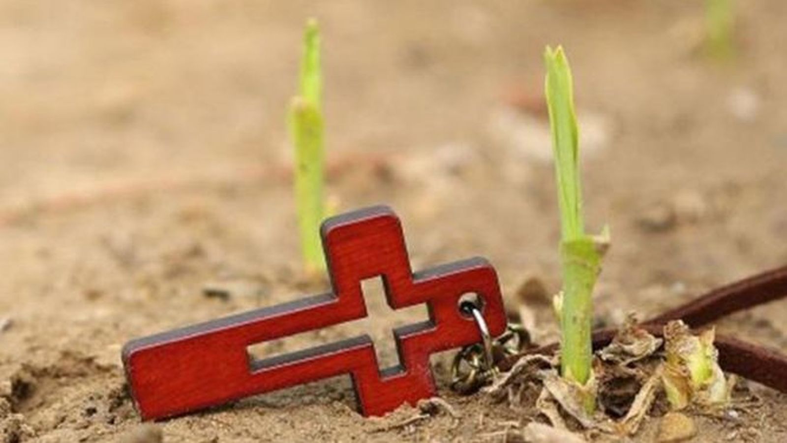 Misioneros asesinados en 2020