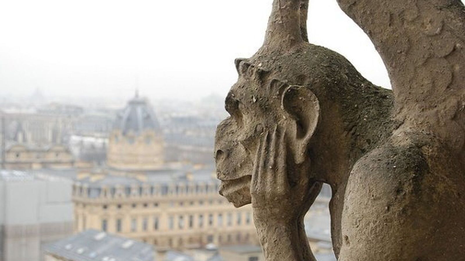 Gárgola de Notre Dame